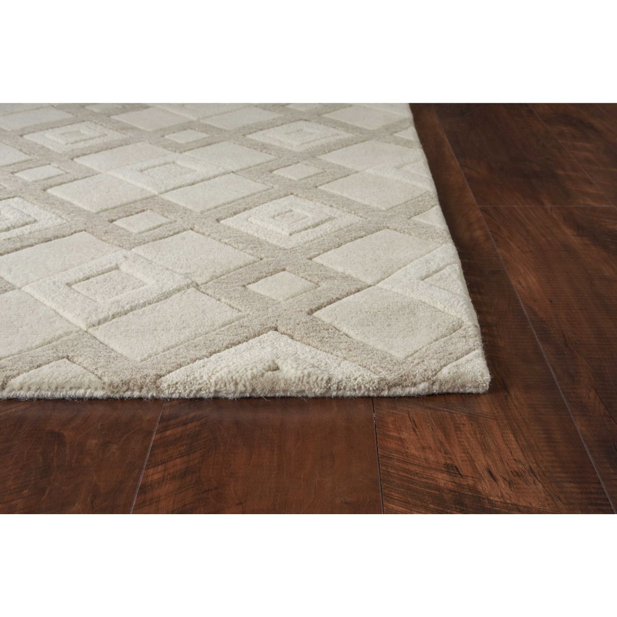 HomeRoots 353531 rugs - View #3