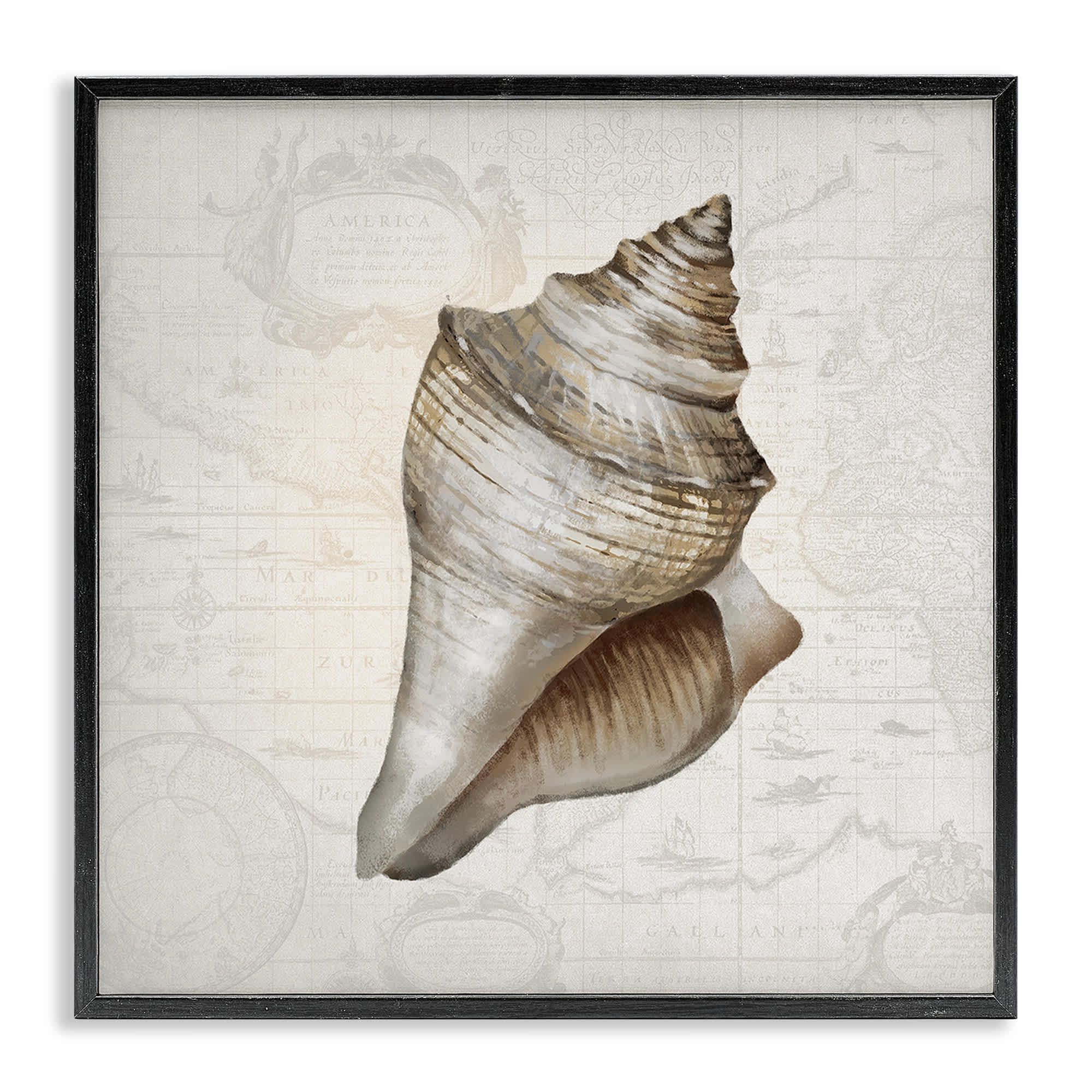 Stupell Industries BT-999-FR-24X24 Conch Shell over Vintage Map Framed Giclee design by Conrad Knutsen