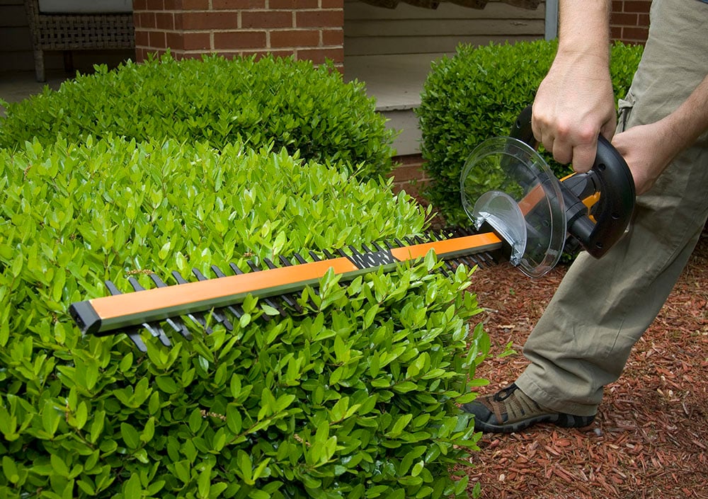 WORX 20 volt Max 20 in Battery Hedge Trimmer Battery and Charger