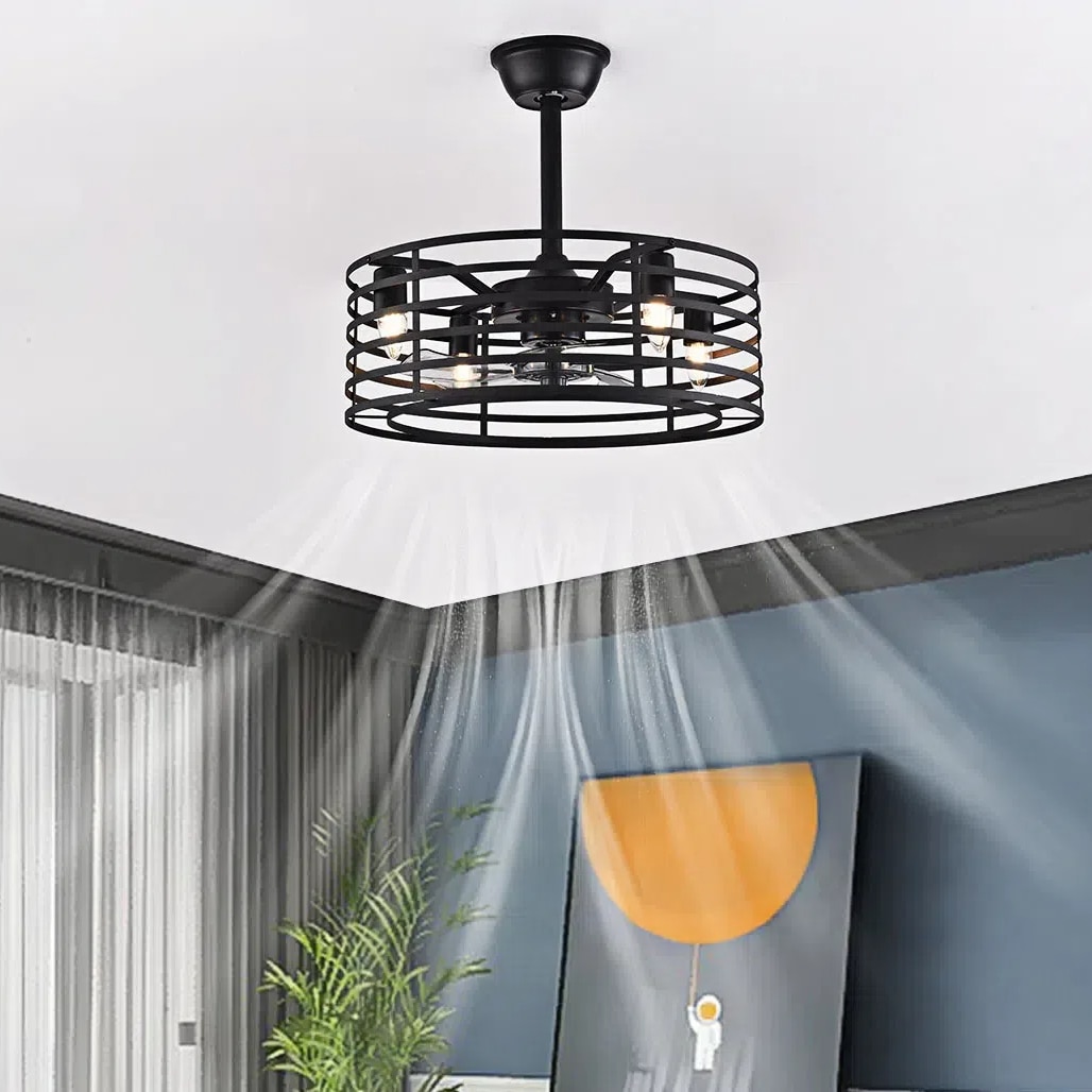 20'' Black Industrial Caged Ceiling Fan with Lights and Remote