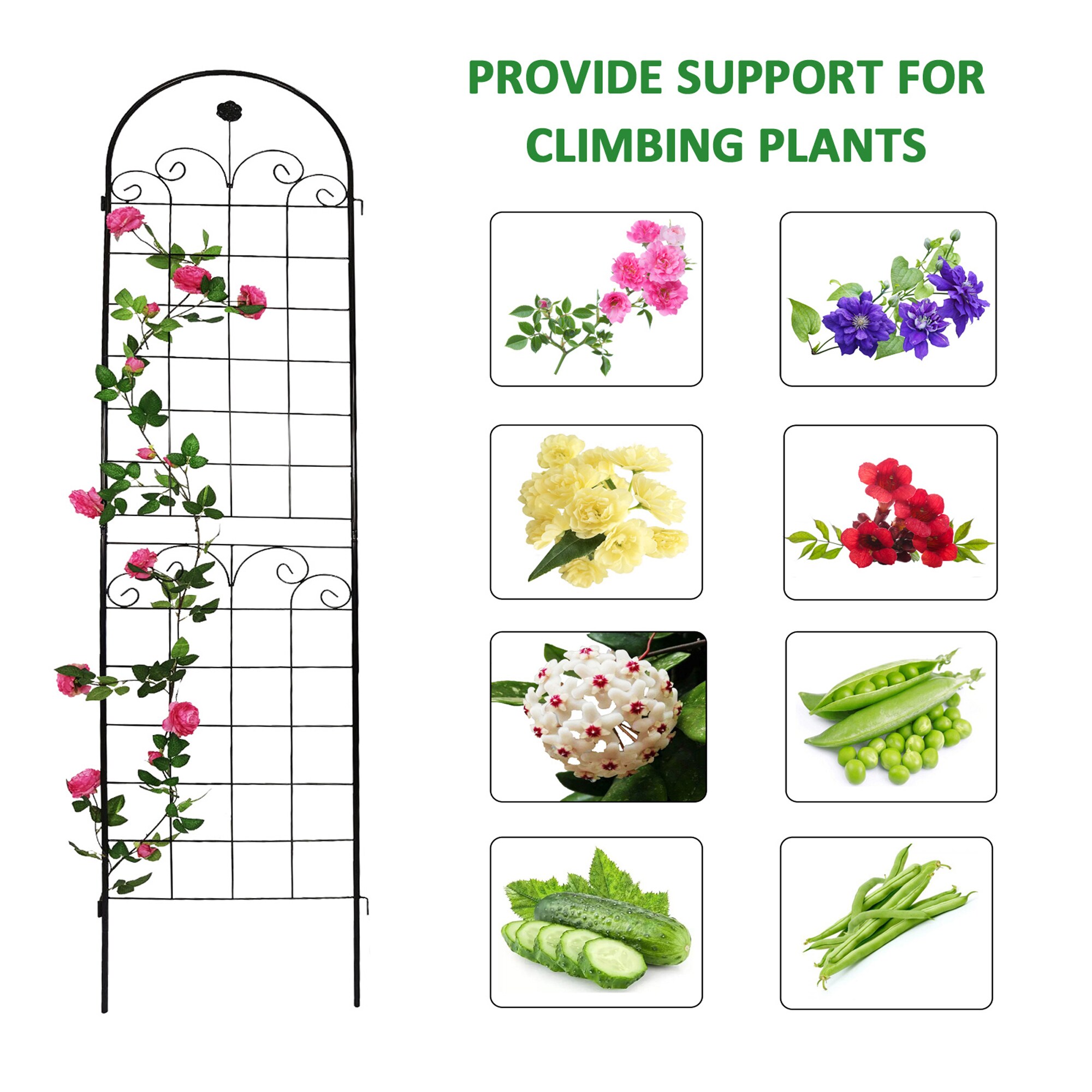 Gaierptone CRXRK5Z50HG Garden-Trellis - View #7