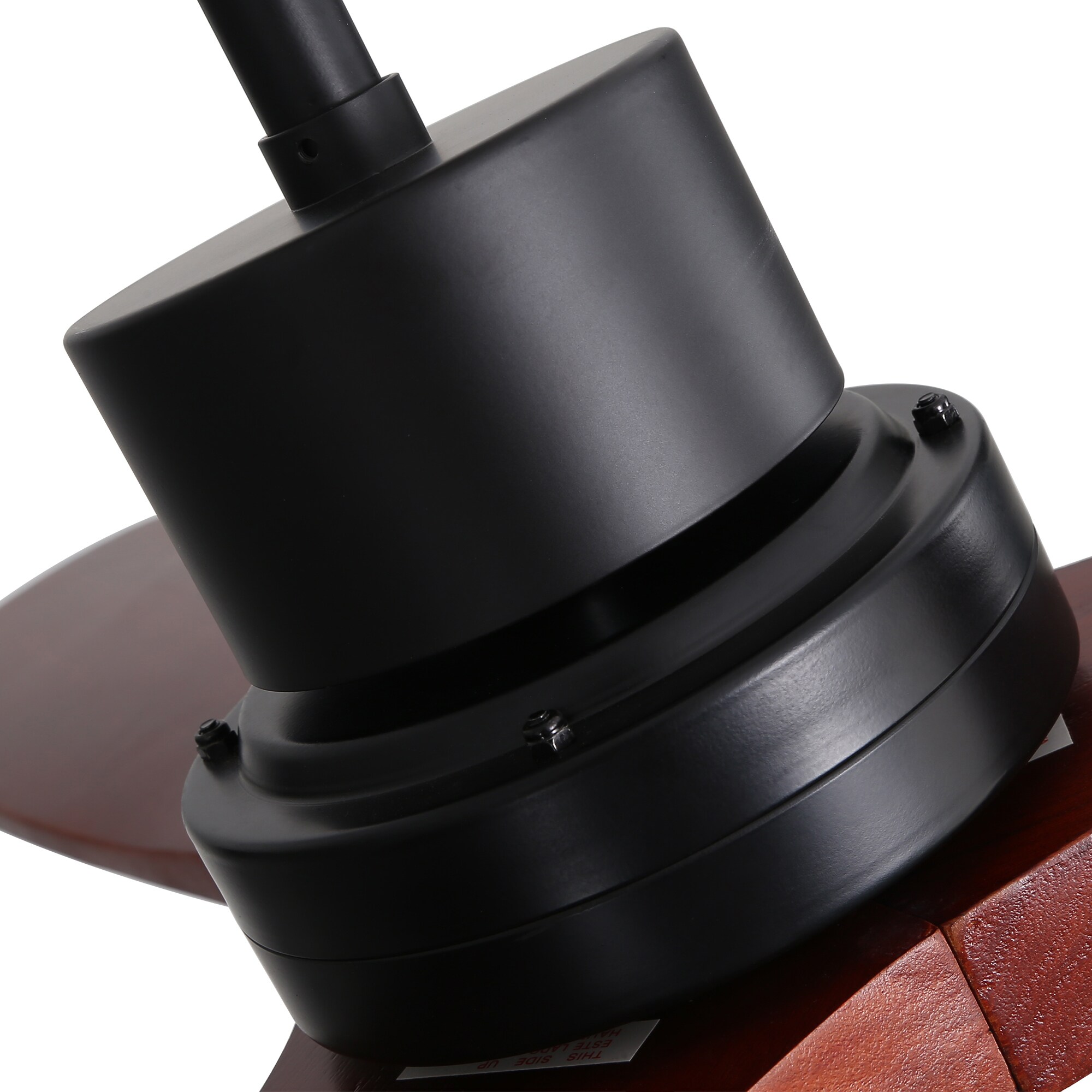 BANSA ROSE XY-M5201DC Ceiling-Fans - View #11