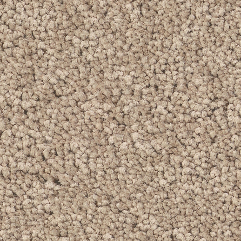 STAINMASTER PetProtect 7L97000103 with LeakDefense Happy Howling I Straw Hat Brown 49-oz sq yard High-performance polyester Textured Indoor Carpet