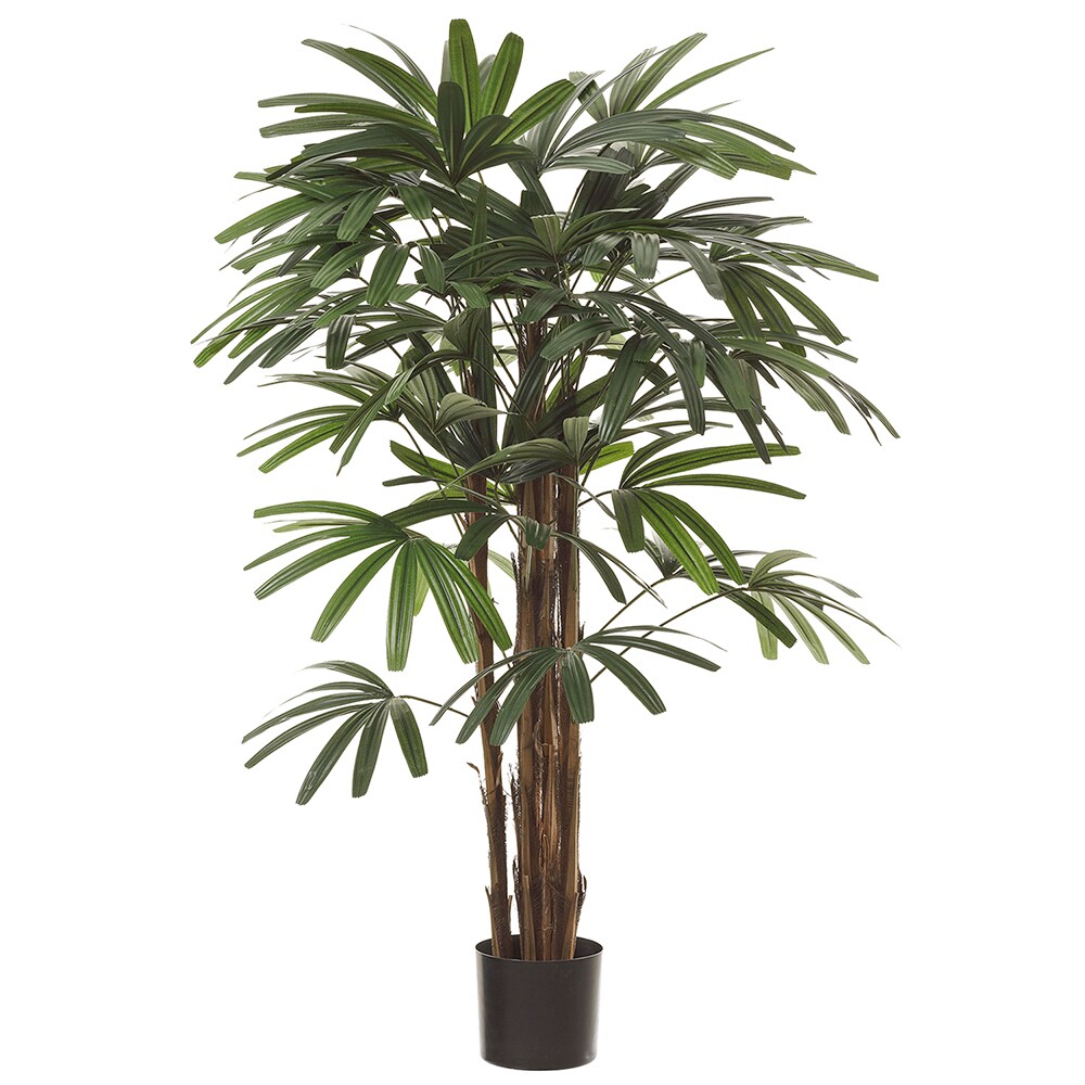 Allstate Floral LTP113-GR 47-in Green Indoor Floor Raphis Artificial tree