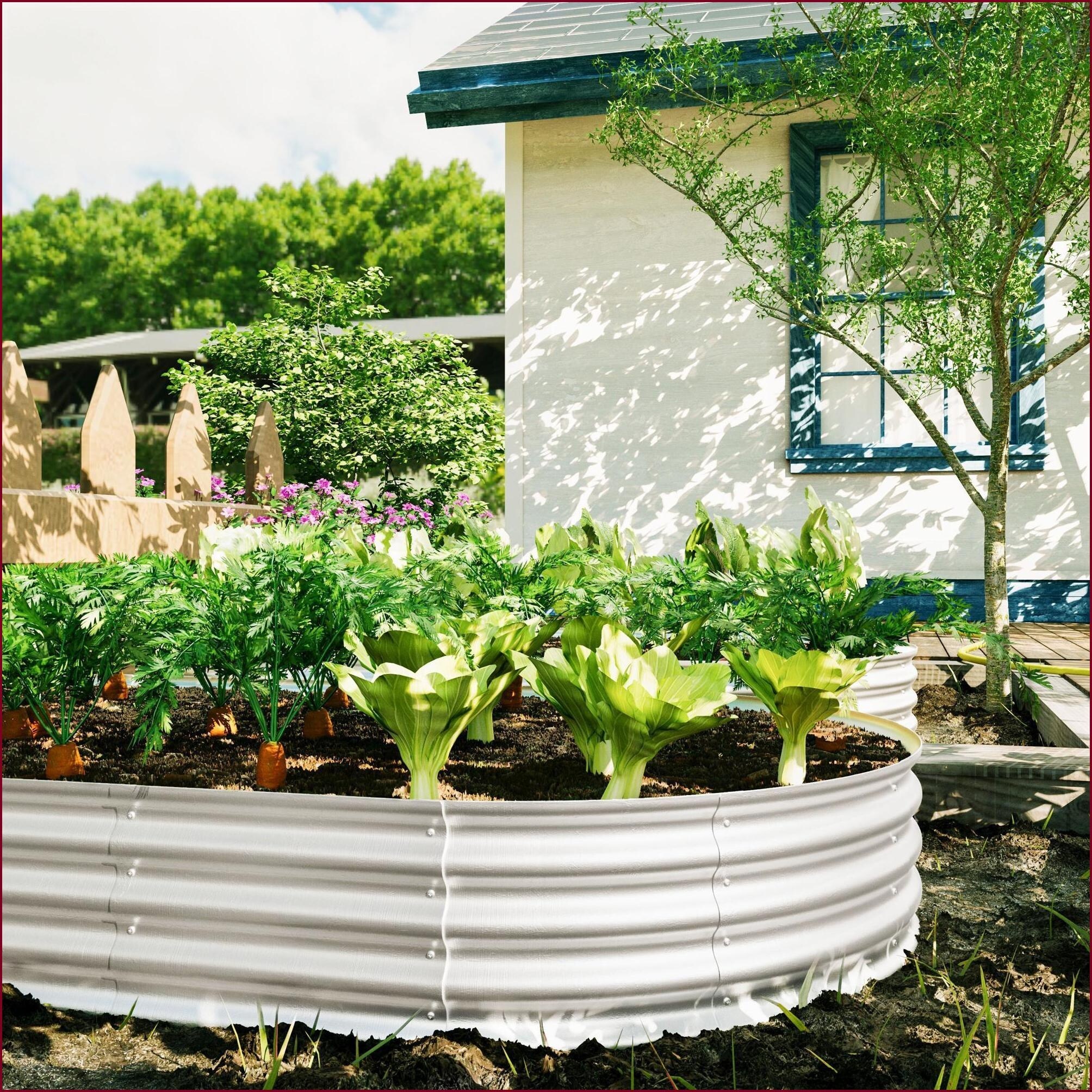 Watnature WFTZUGEN24RY Planter-Window-Box - View #11