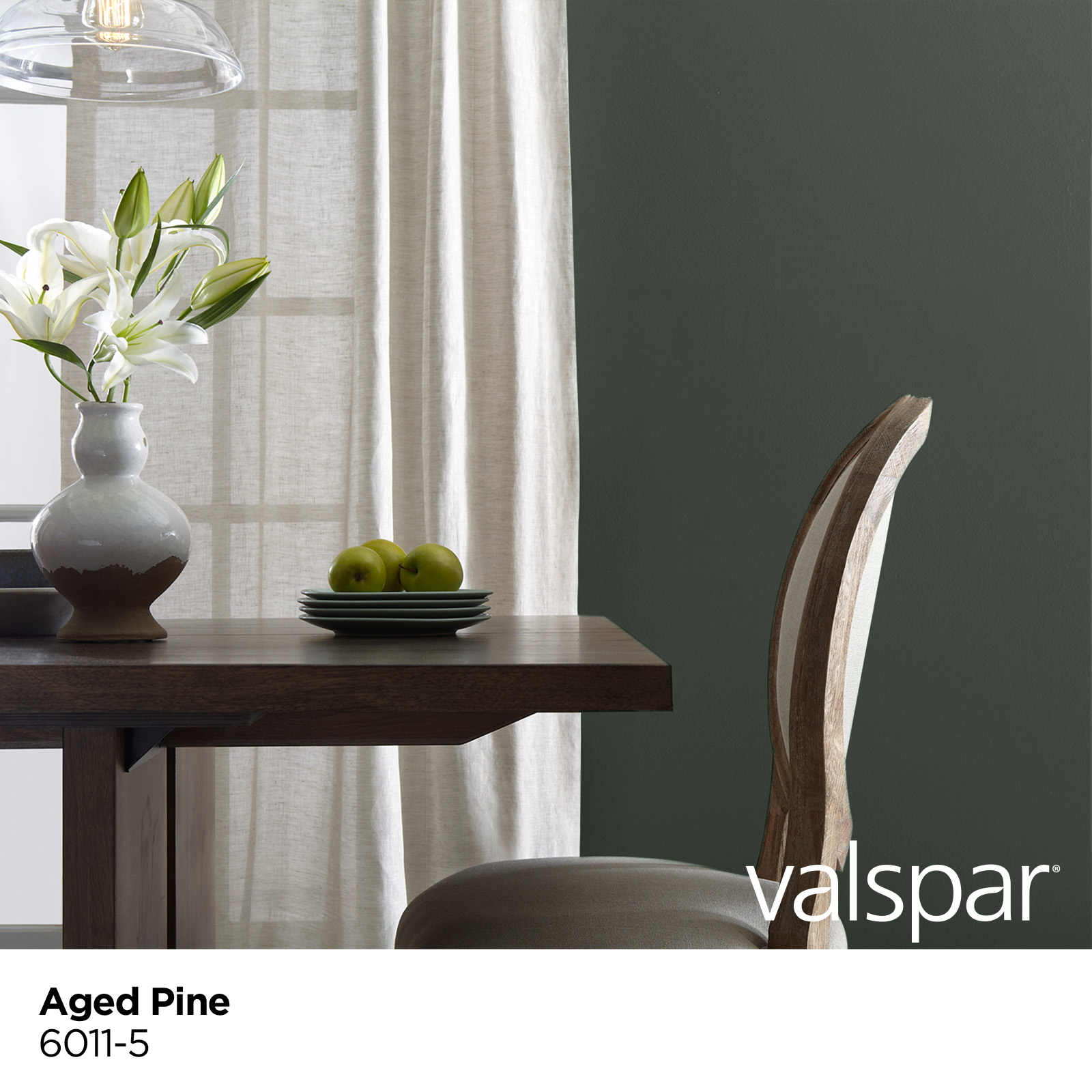 Valspar 6011-5-28328 Int-Ext-Paint - View #3