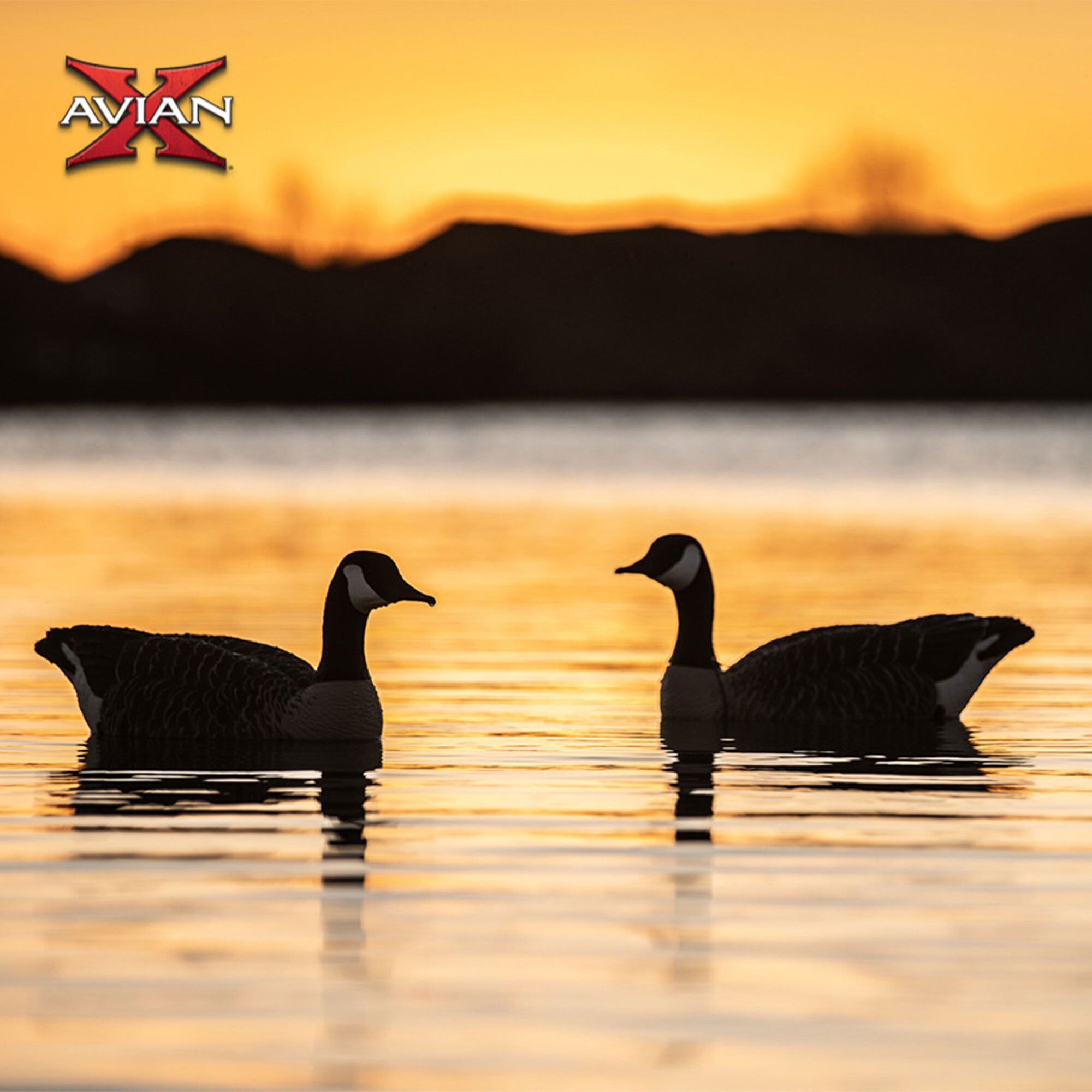  Avian X 408596 Hunting-Equipment - View #7