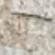 Ivory Travertine