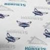 Charlotte Hornets
