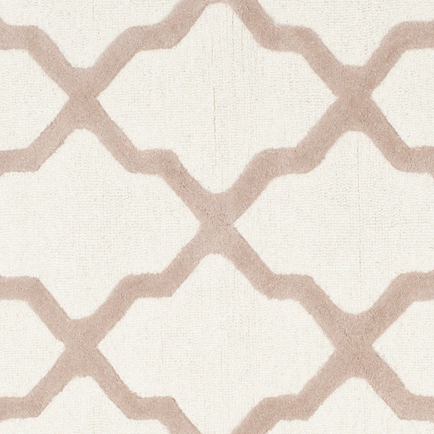 Safavieh CAM121P-2 rugs - View #3