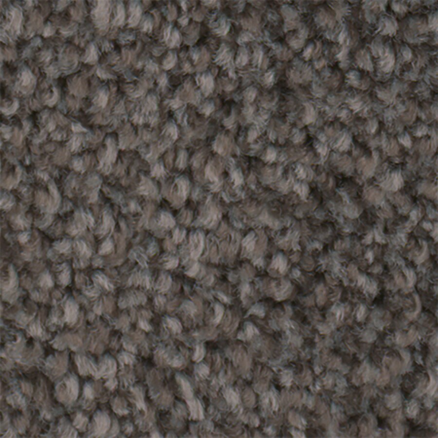 STAINMASTER 7L70100503 Active Family with LifeGuard Wade Pool I Sediment Textured Interior Carpet