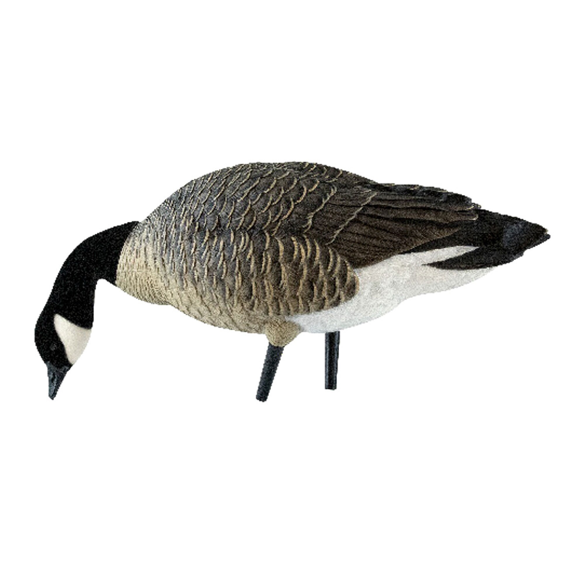  Avian X 399280 Hunting-Equipment - View #9