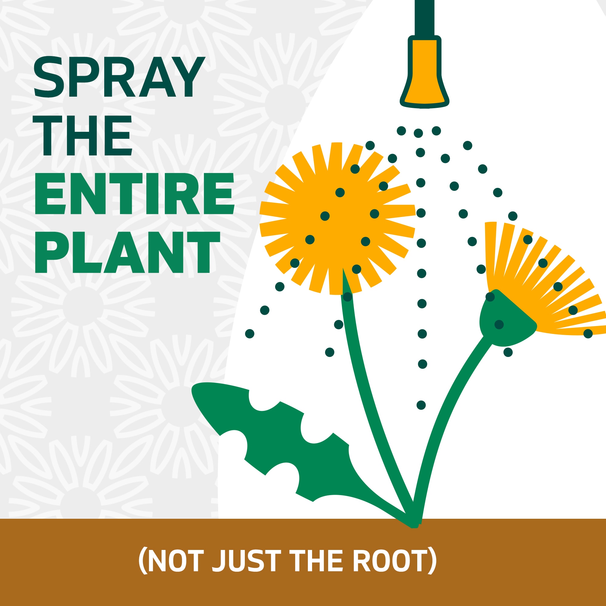 Spruce 1012130000 Weed-Killers - View #9