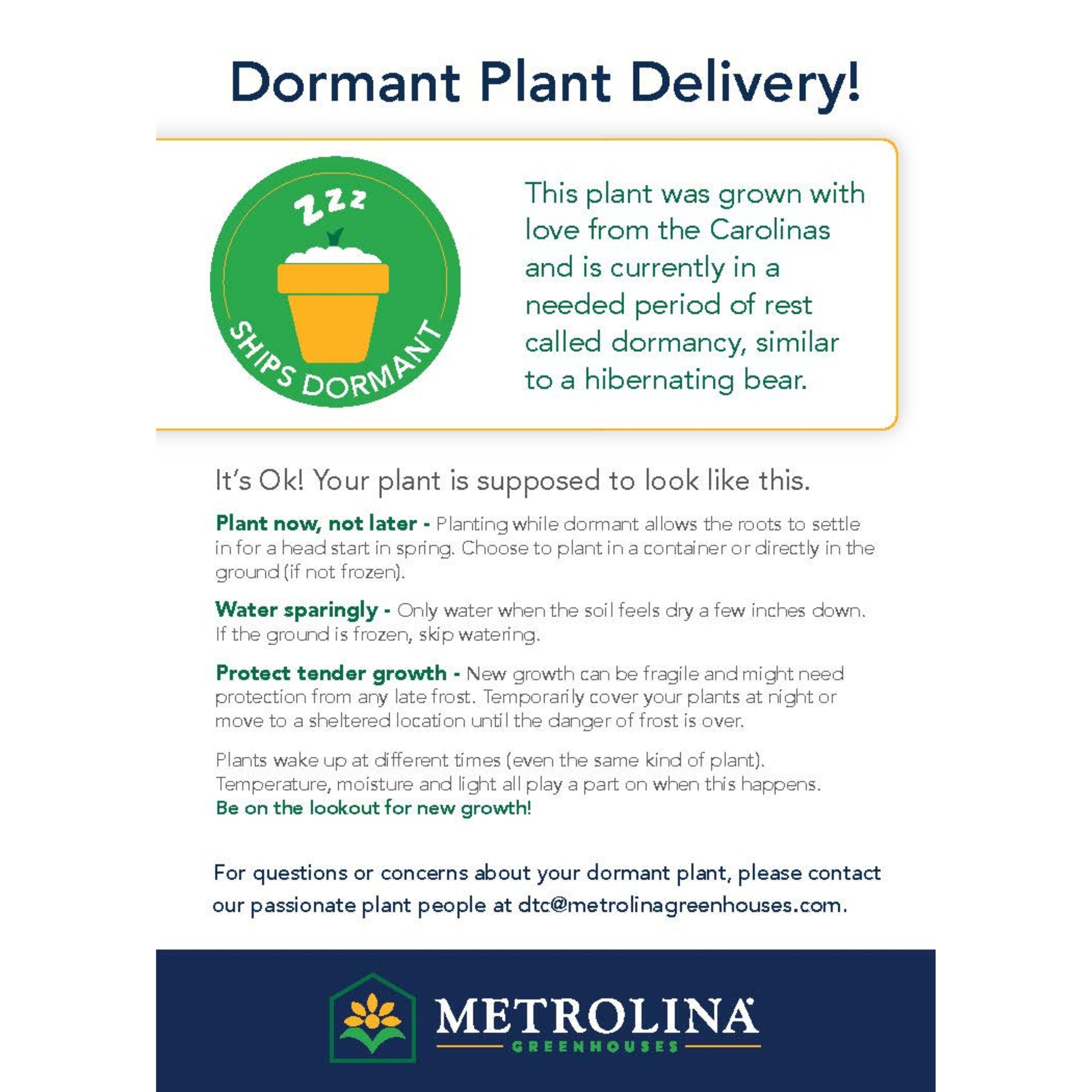 Monrovia 4992 perennials - View #4