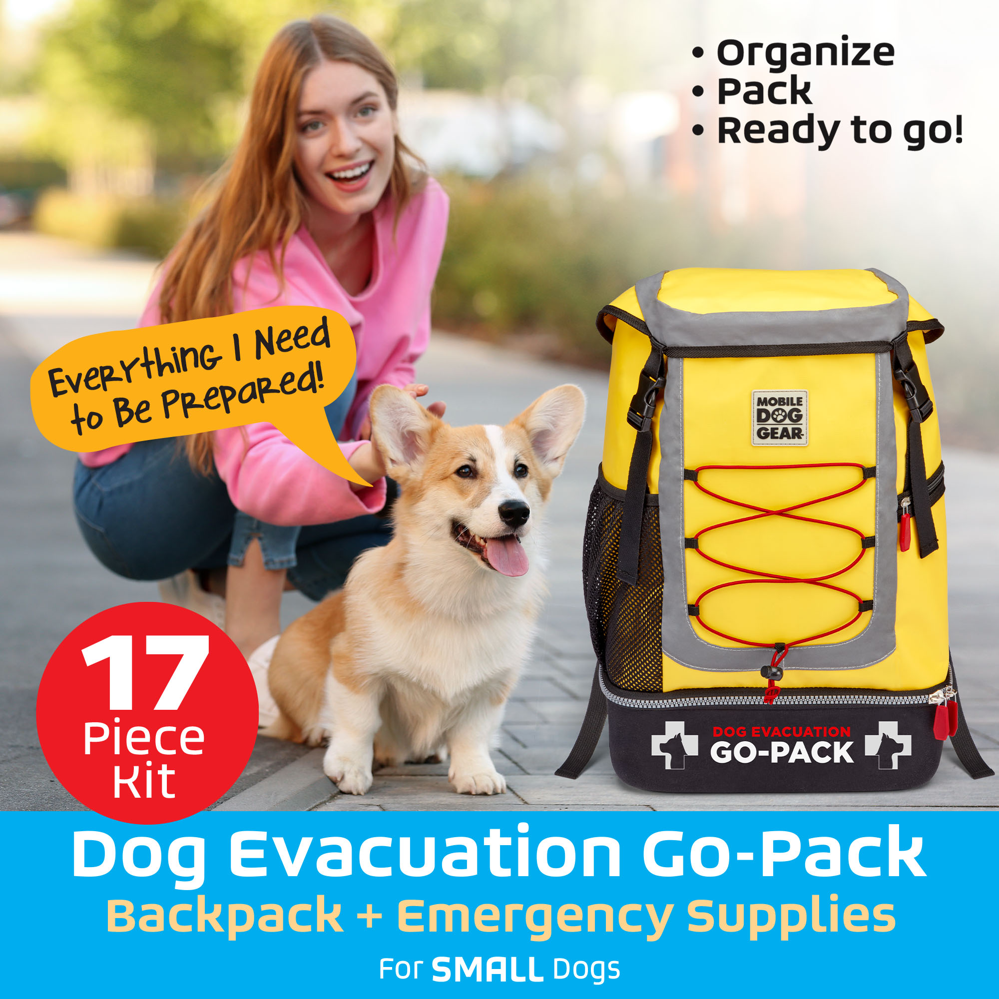 Emergency go bag for hot sale dogs