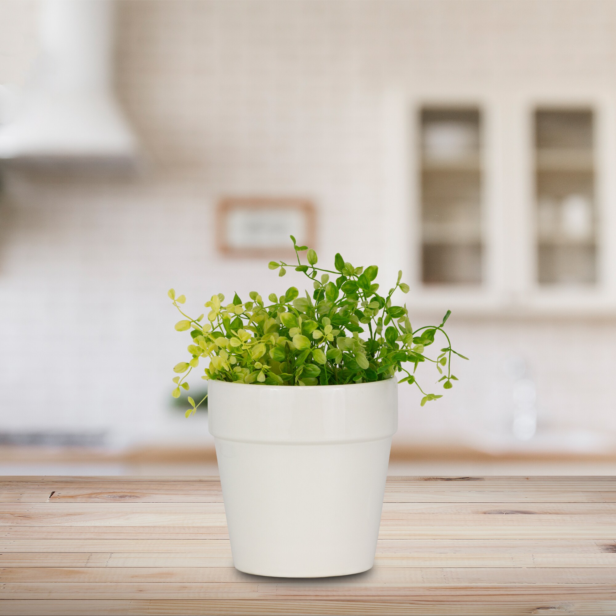 allen + roth CR10168-07E Planter-Window-Box - View #2