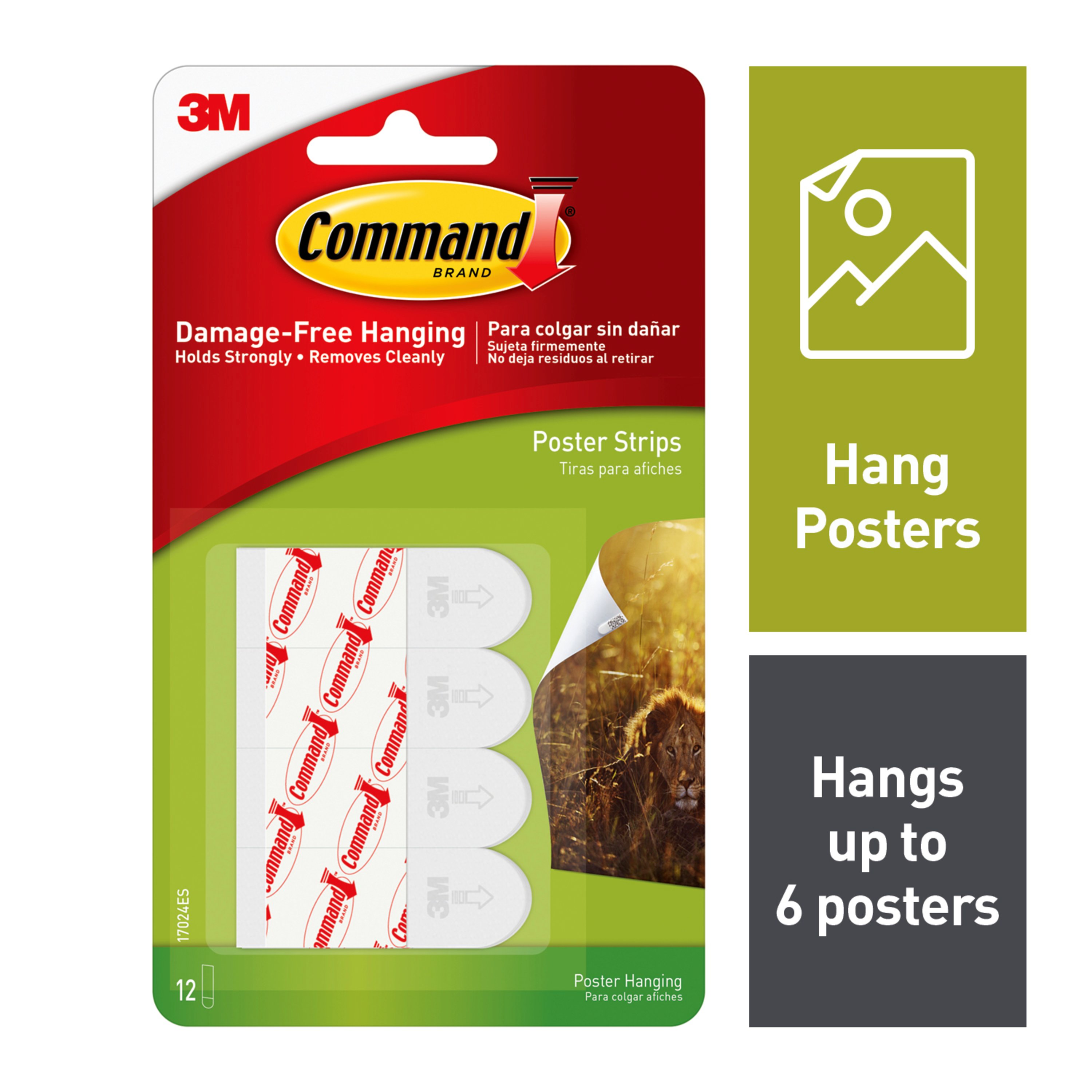 Command? Picture Hanging Kit, 24/Pack