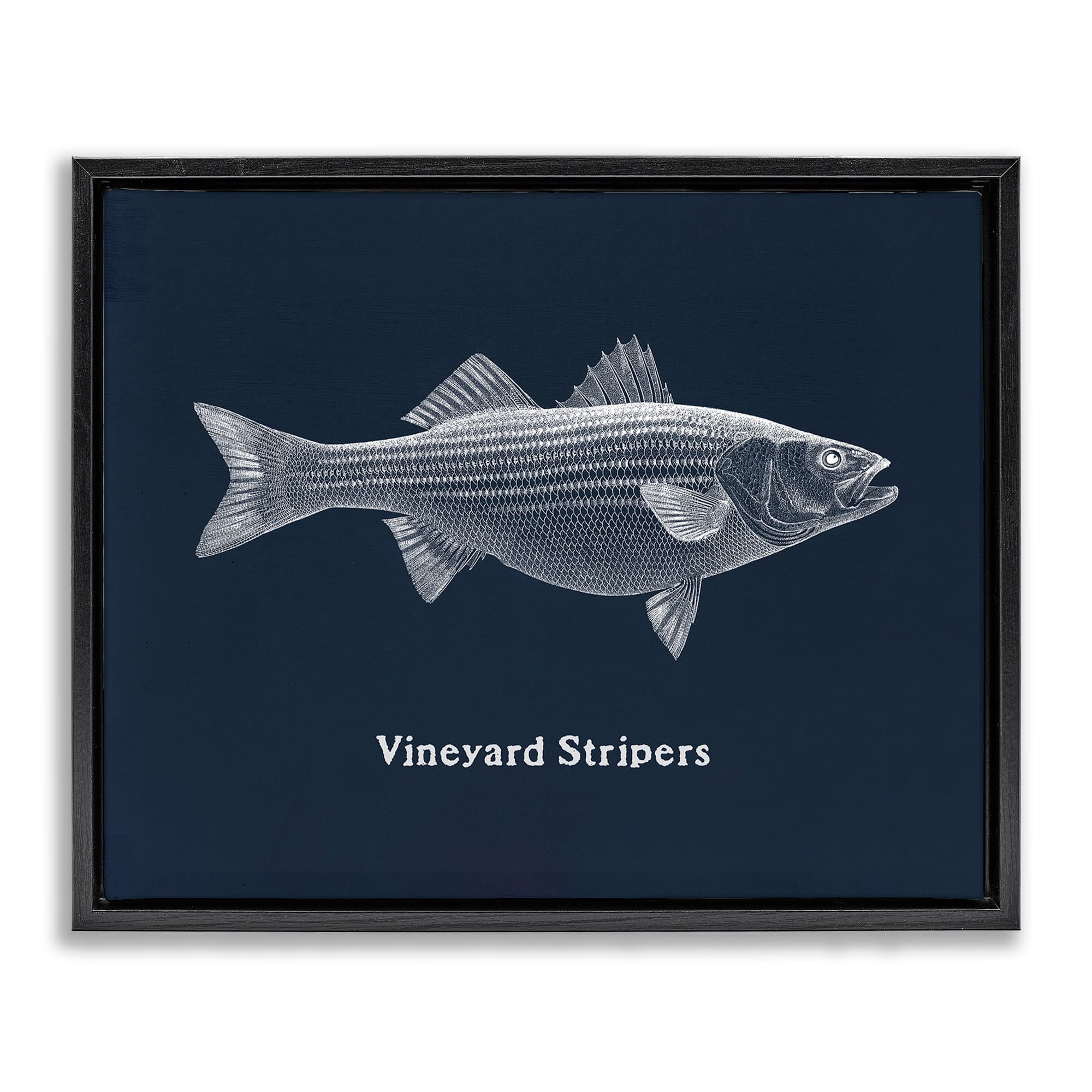 Stupell Industries BT-459-FFB-24X30 Vineyard Stripers Fish Black Framed Floater Canvas Wall Art By Phillipa Katz 31 x 25