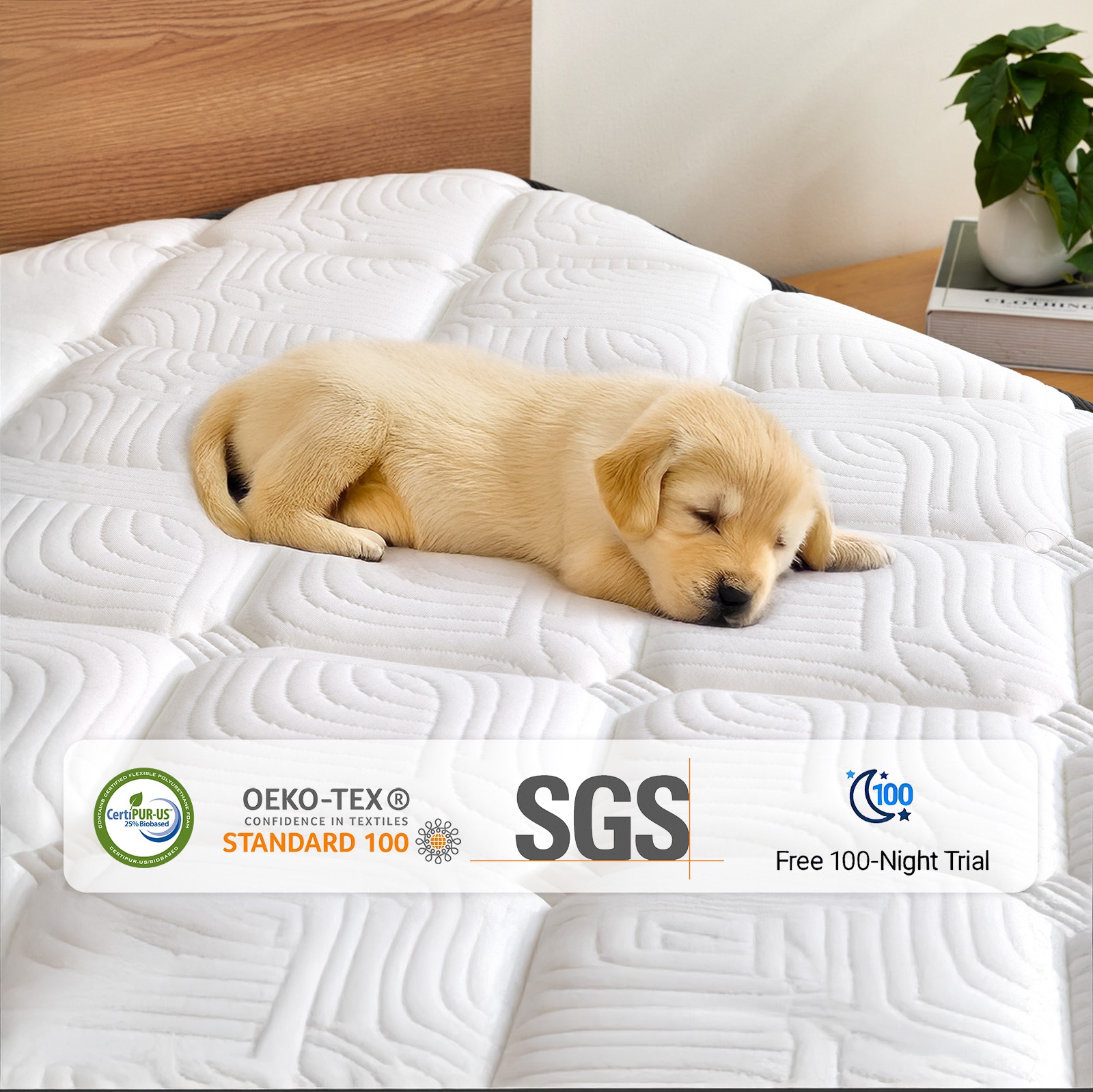 Ifluous LSMH12-12T Mattresses-Boxsprings - View #7
