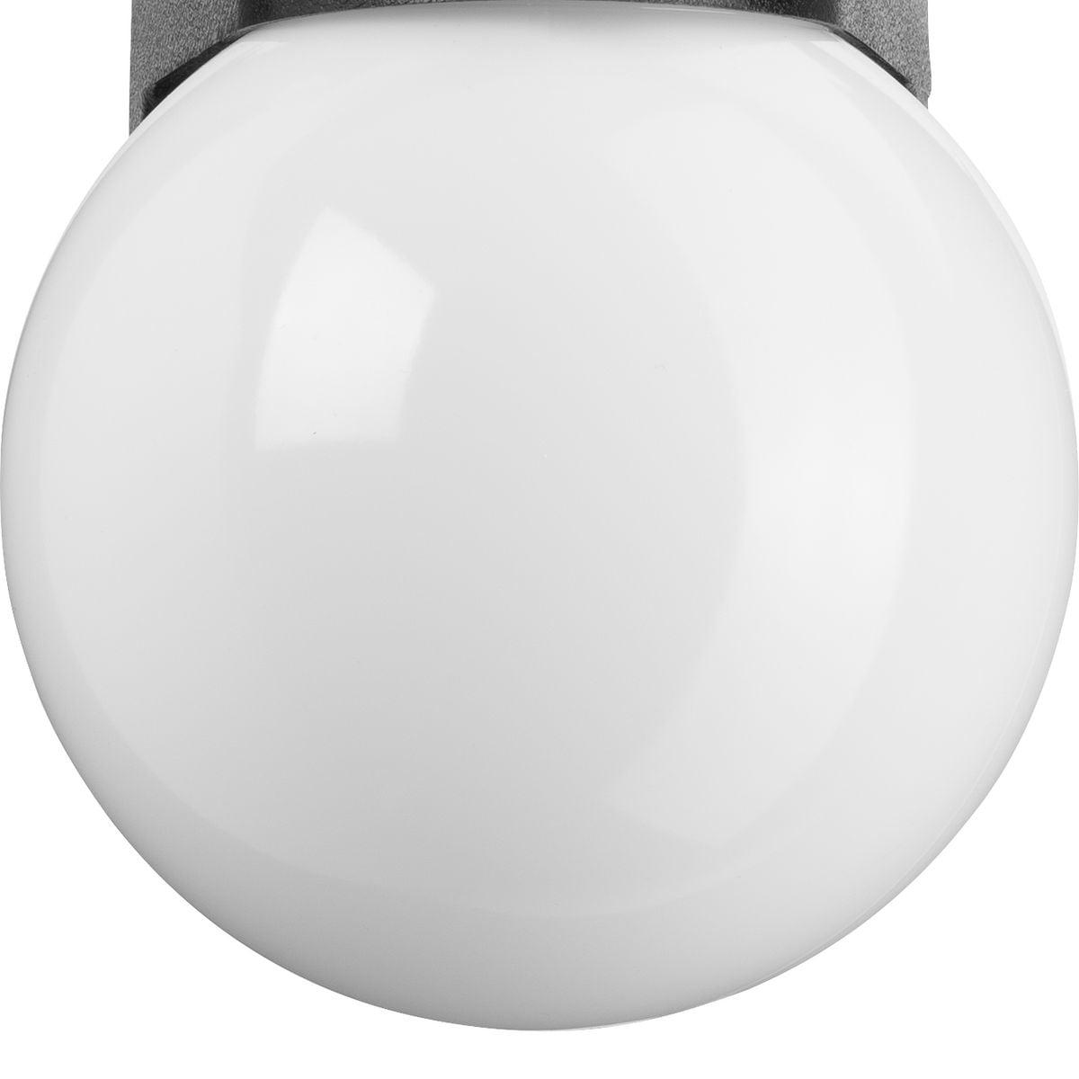 Black Polycarbonate 6-Inch Globe Outdoor Wall Lantern