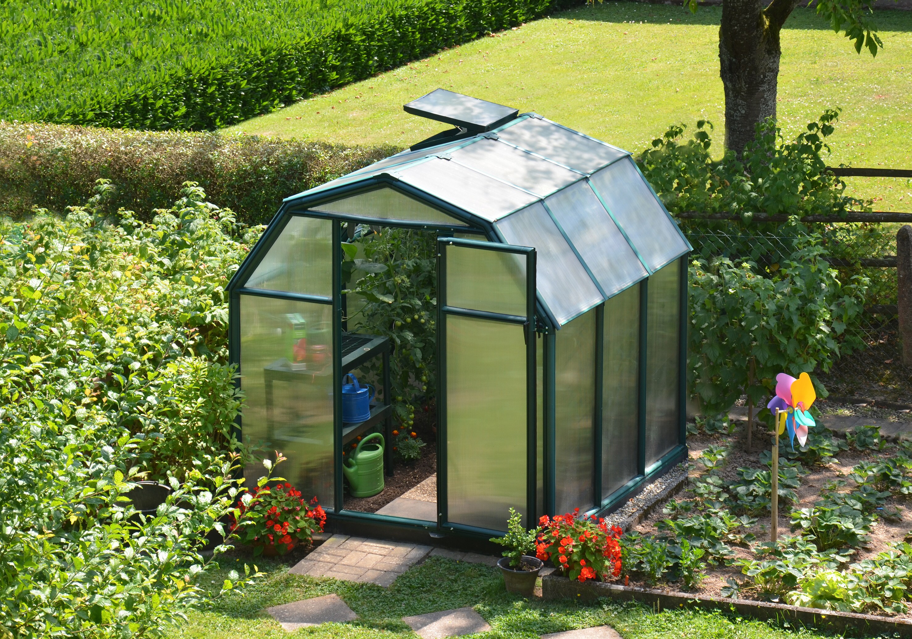 Canopia by Palram 702521 greenhouses - View #4