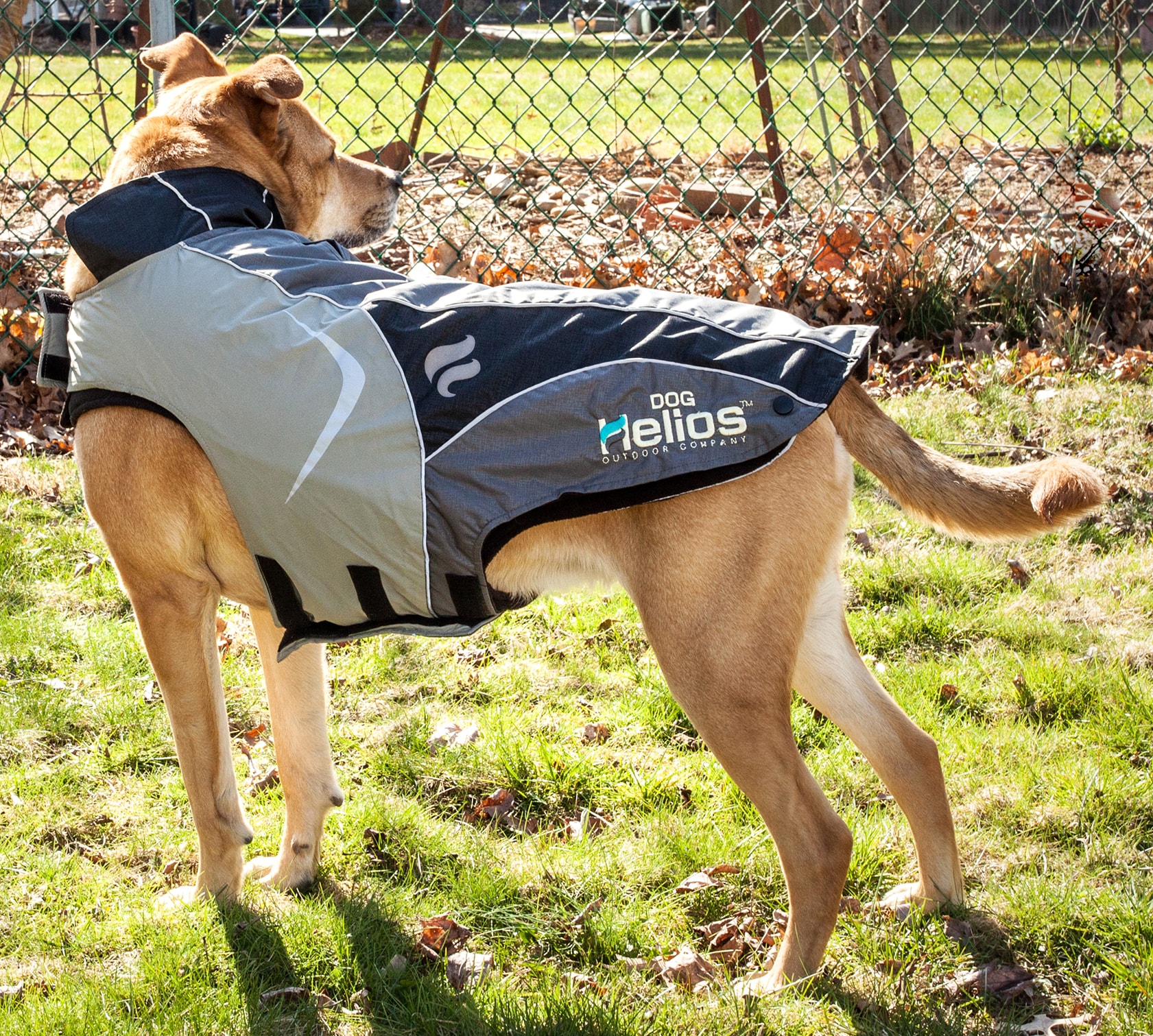 Dog helios clearance waterproof rain jacket