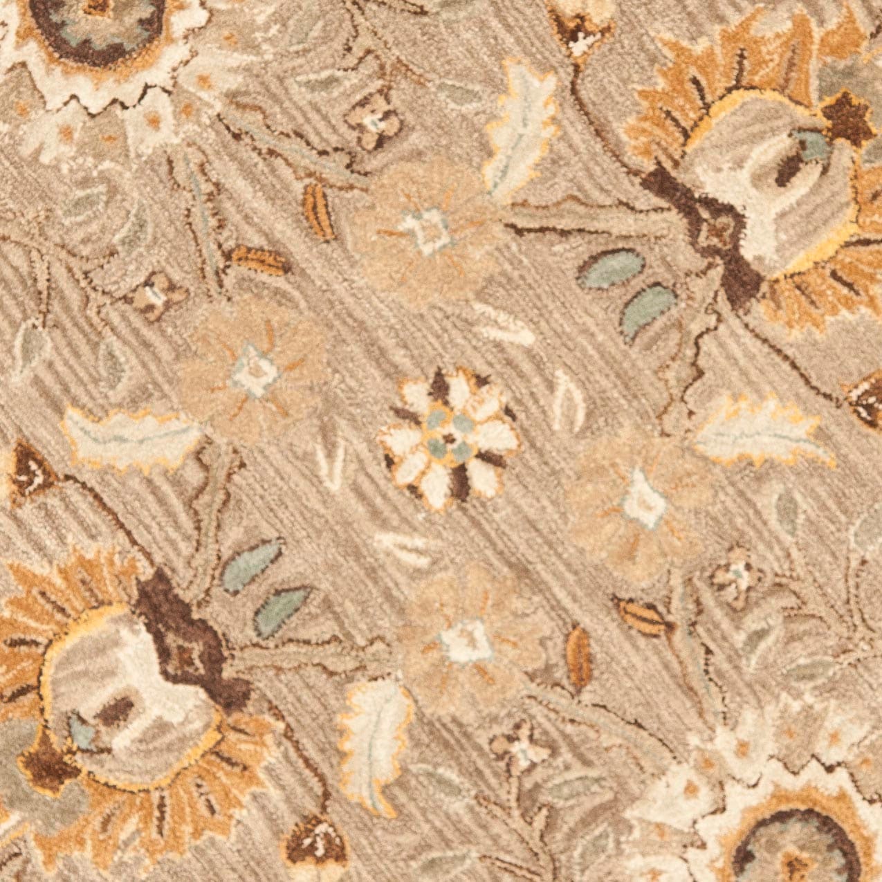 Safavieh AN558A-6R rugs - View #4