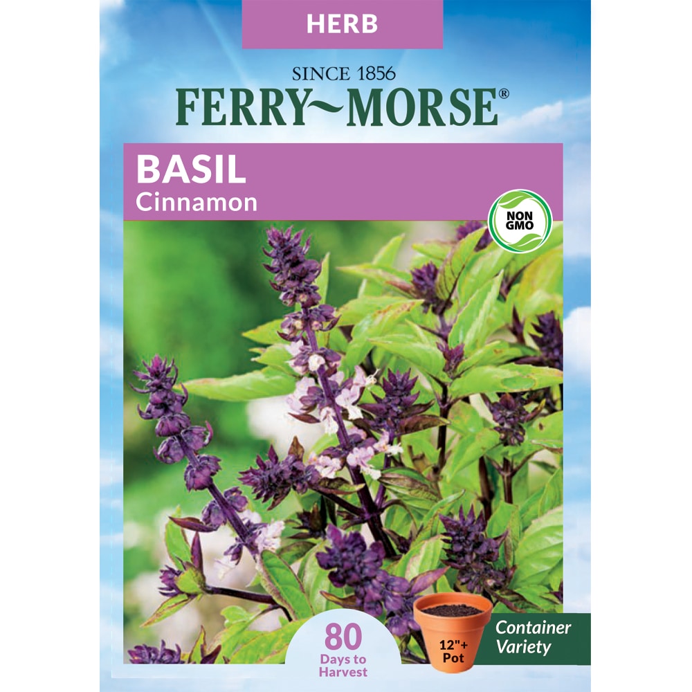 Ferry Morse 0.3 Gram Basil Cinnamon Herb Seed Packet at Lowes