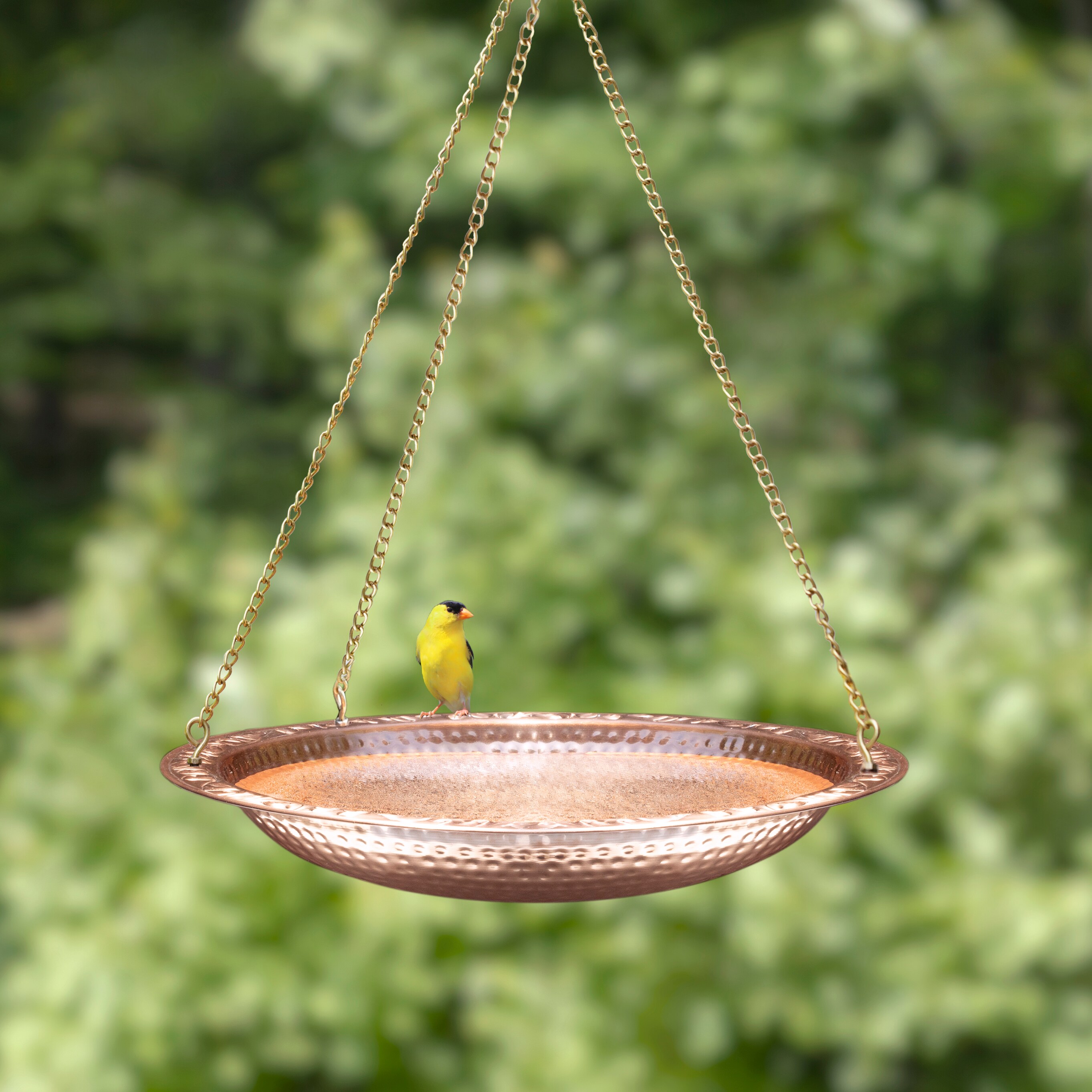Good Directions BBH18 birdbaths - View #3