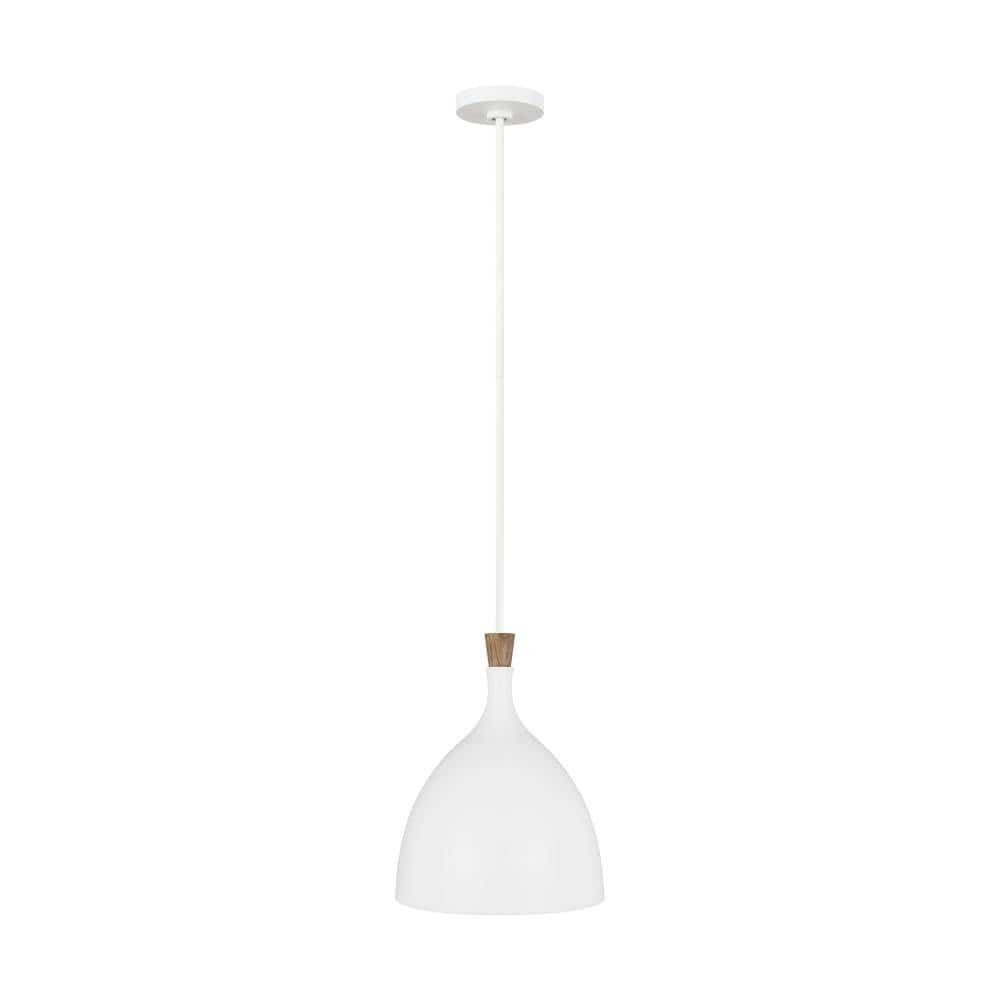Matte White Steel Indoor/Outdoor Bowl Pendant Light