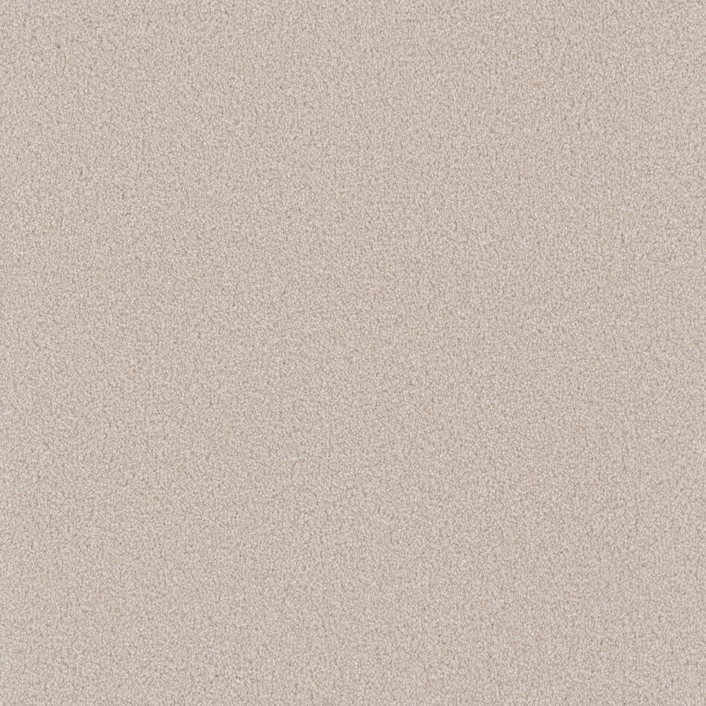 STAINMASTER S9850-10002-S (Sample) Wool Brown 50-oz sq yard Polyester Textured Indoor Carpet