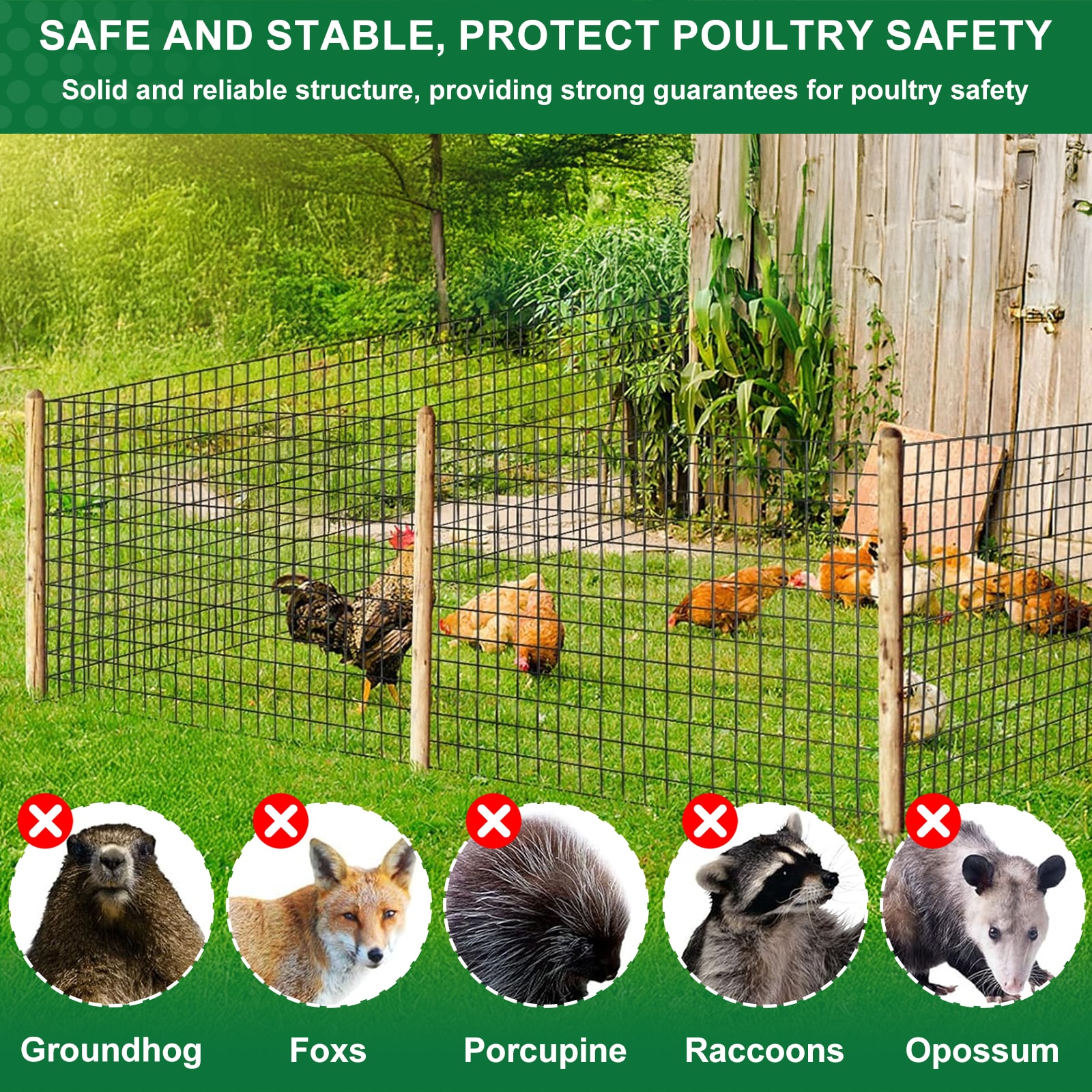 Maocao Hoom BH02632 Rolled-Fence - View #7