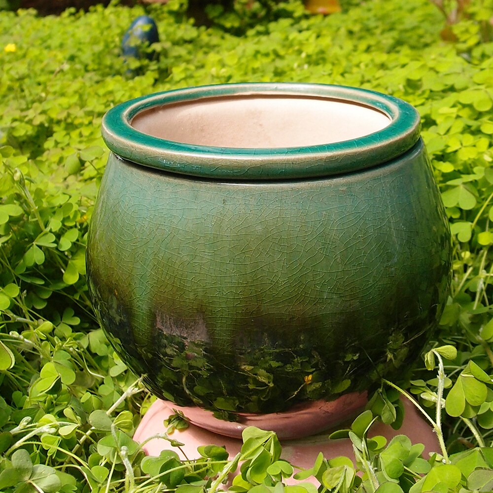 Garden Treasures 01-434APCA-V02  - View #2