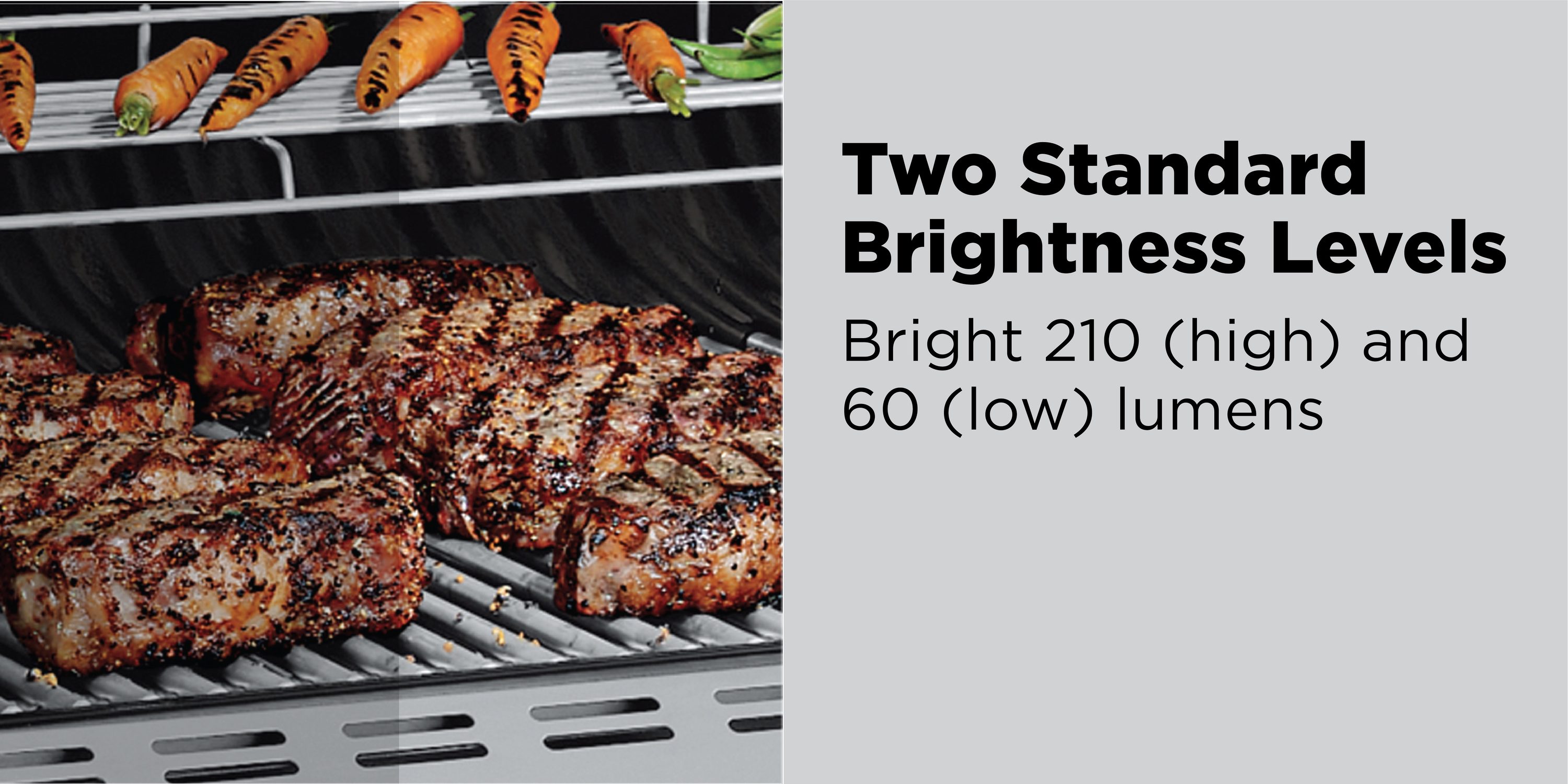 NextLED Black Flexible Gooseneck Magnetic Grill Light
