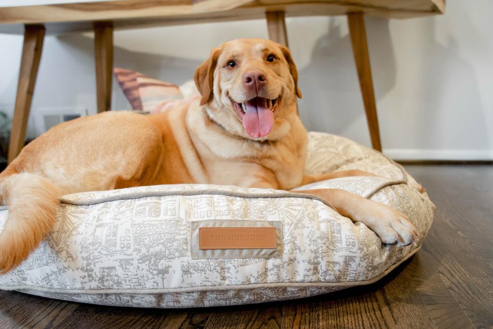 Sunbrella deals dog bed