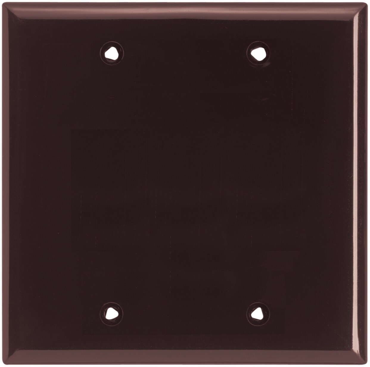 Eaton 5137B-BOX 2-Gang Standard Size Brown Nylon Indoor Blank Wall Plate