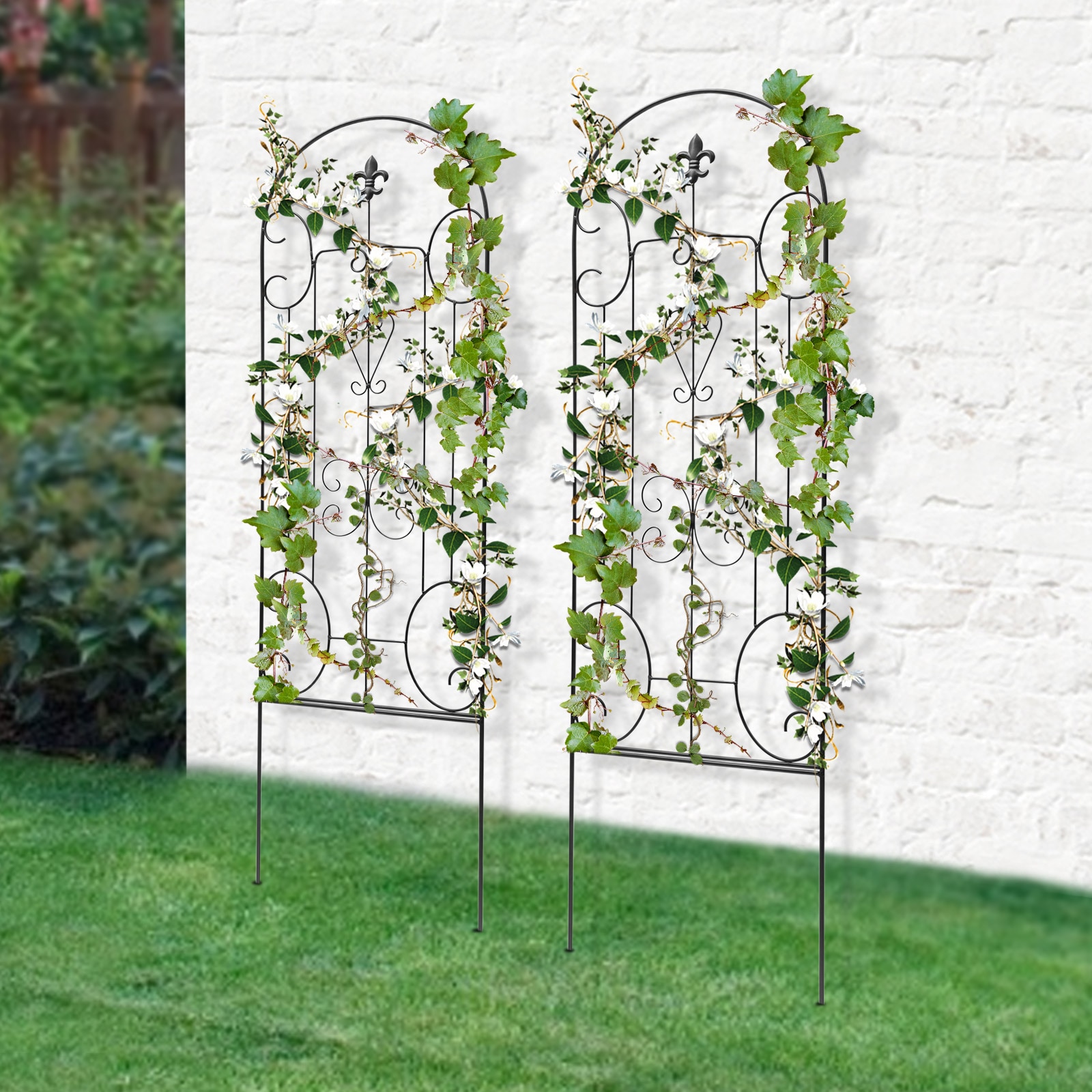 CNCEST YLJHAS3EWDZJ8 18.1-Inches W x 60-Inches H 2 Pack Black Steel Potted Wrought iron Fence Garden Trellis For Climbing Plants For Cucumbers For Roses For Tomatoes