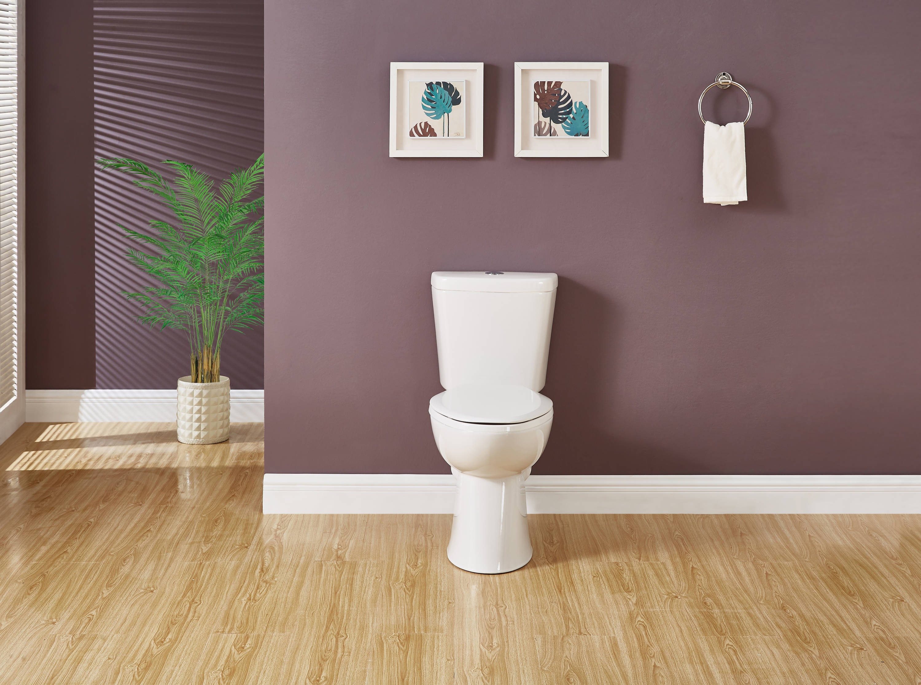 Project Source MT-20204P toilets - View #13