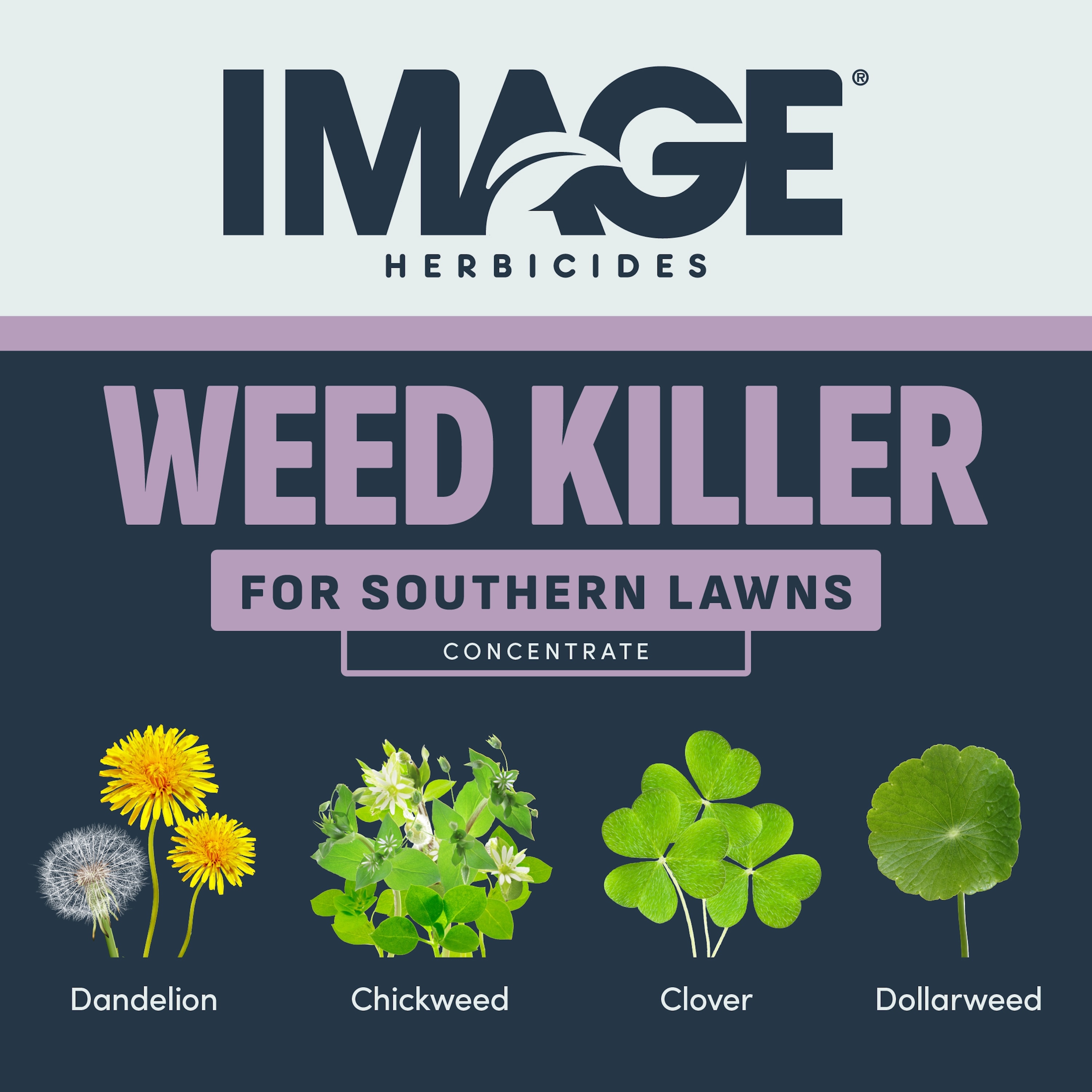 IMAGE 1357600426 Weed-Killers - View #2