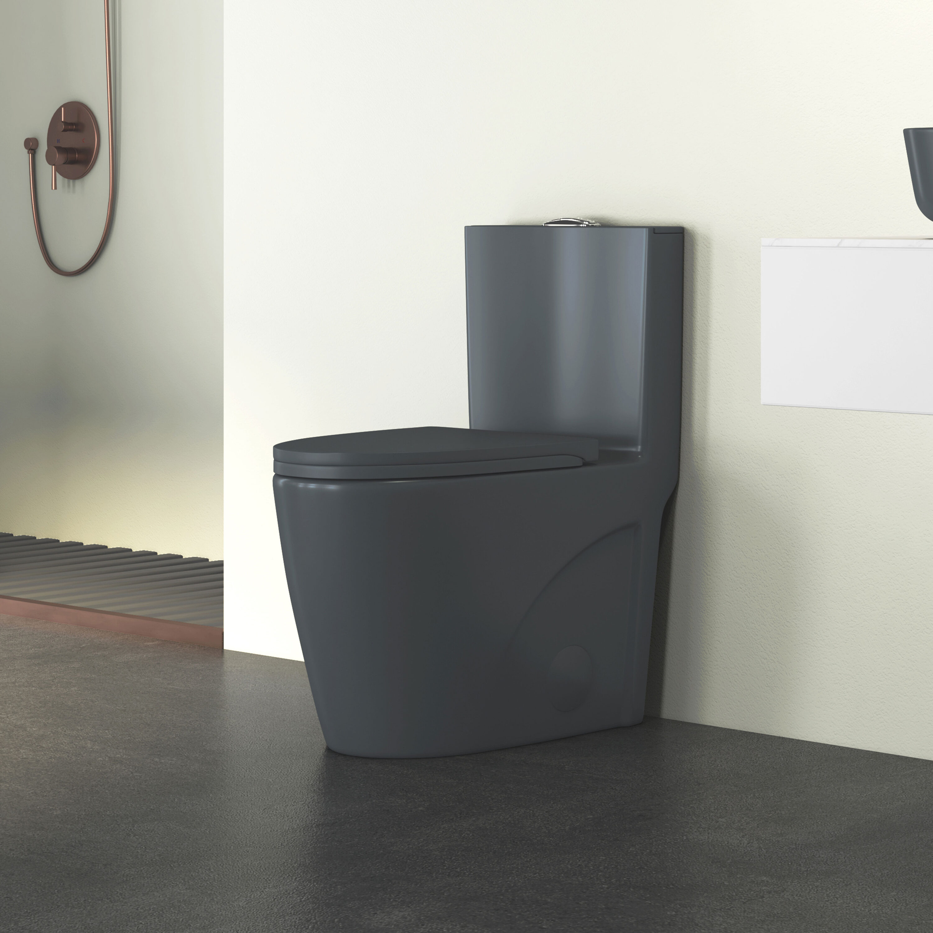 Eridanus ERI-1T323DG toilets - View #14