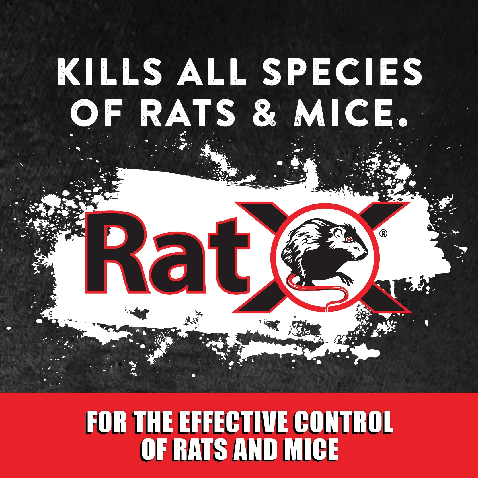 RatX 620104 Animal-Rodent-Control - View #3