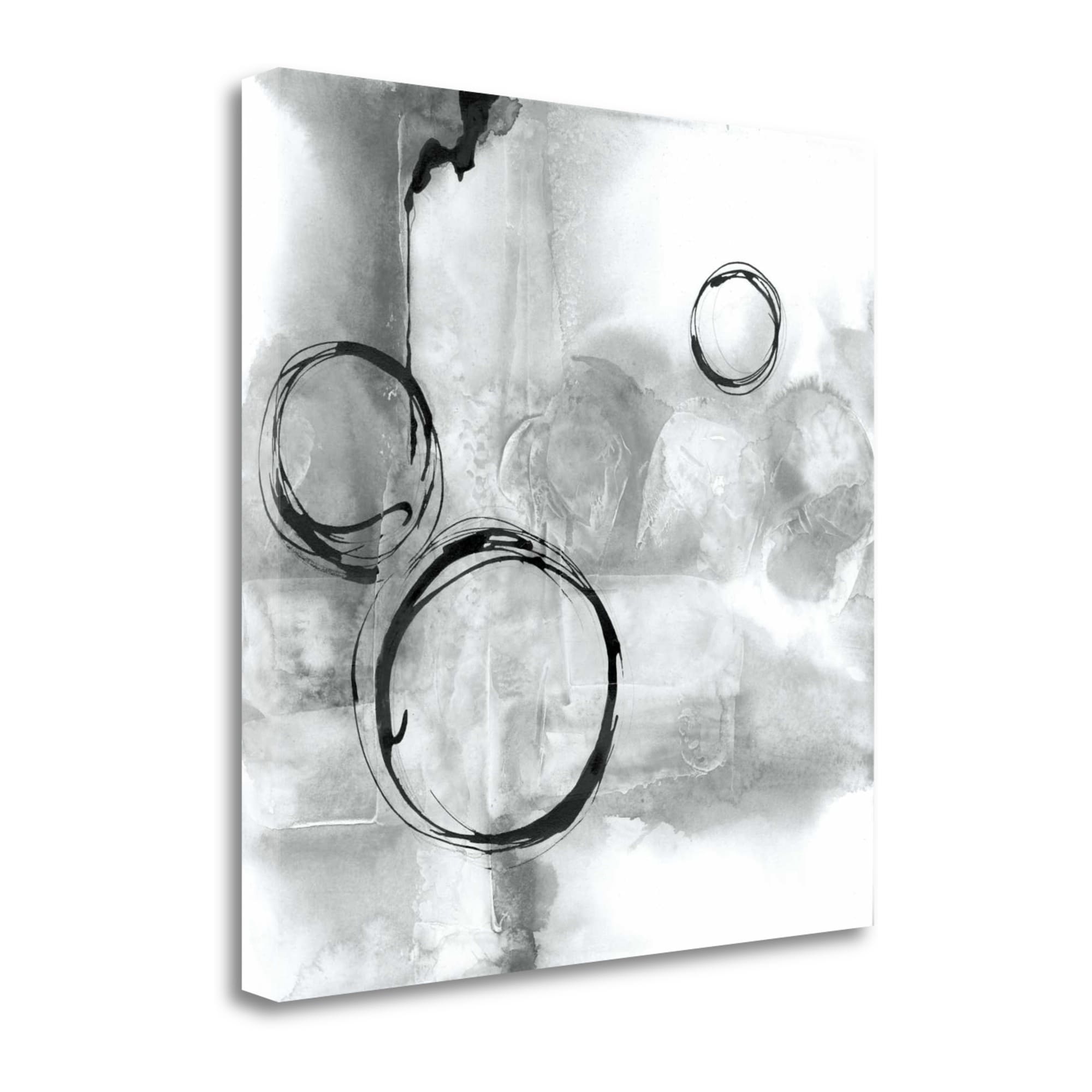 Tangletown Fine Art WA622778-2020C Full Circle I Gray Chris Paschke 20-in H x 20-in W Abstract Print on Canvas