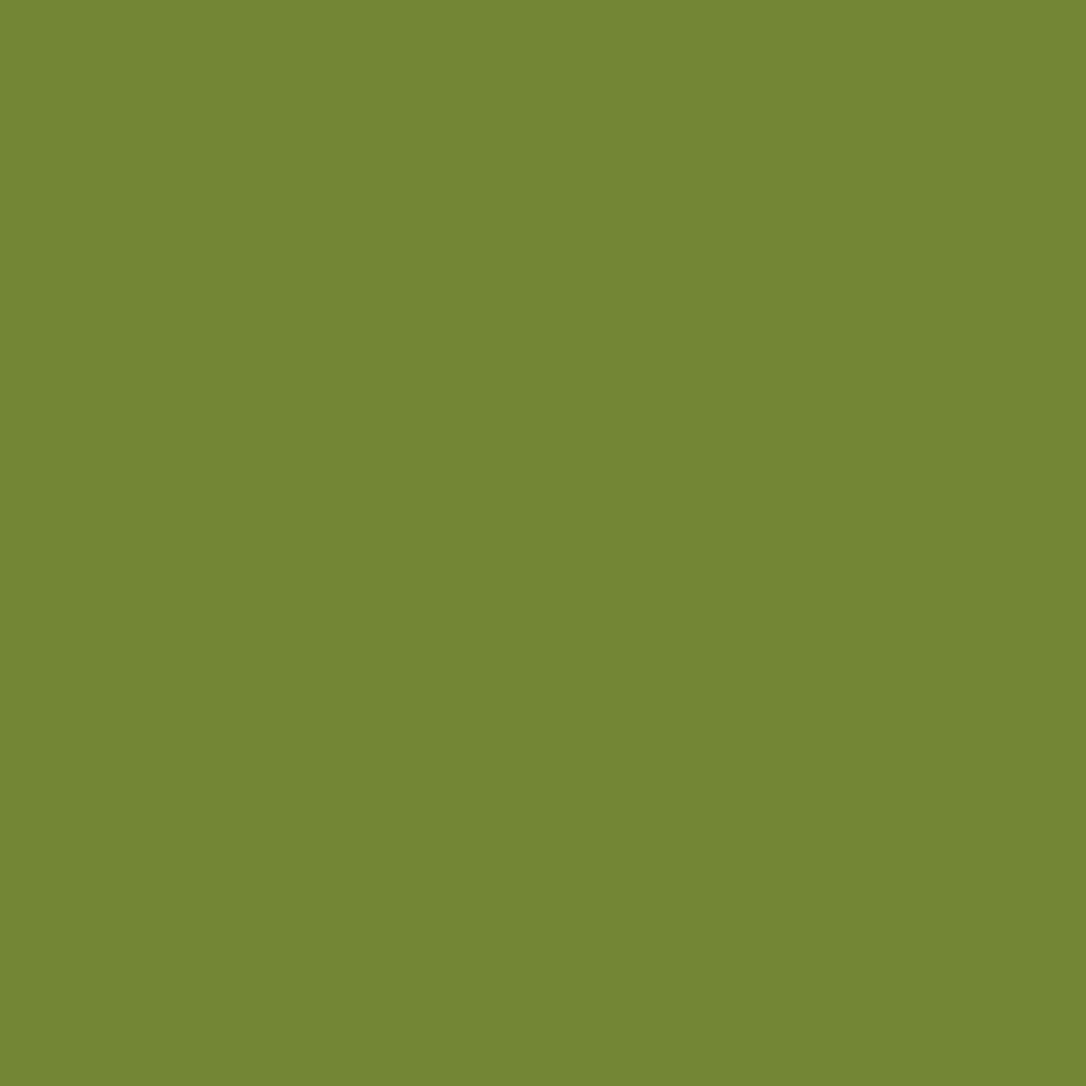 Modern Masters 275275 Door-Trim-Paint - View #2