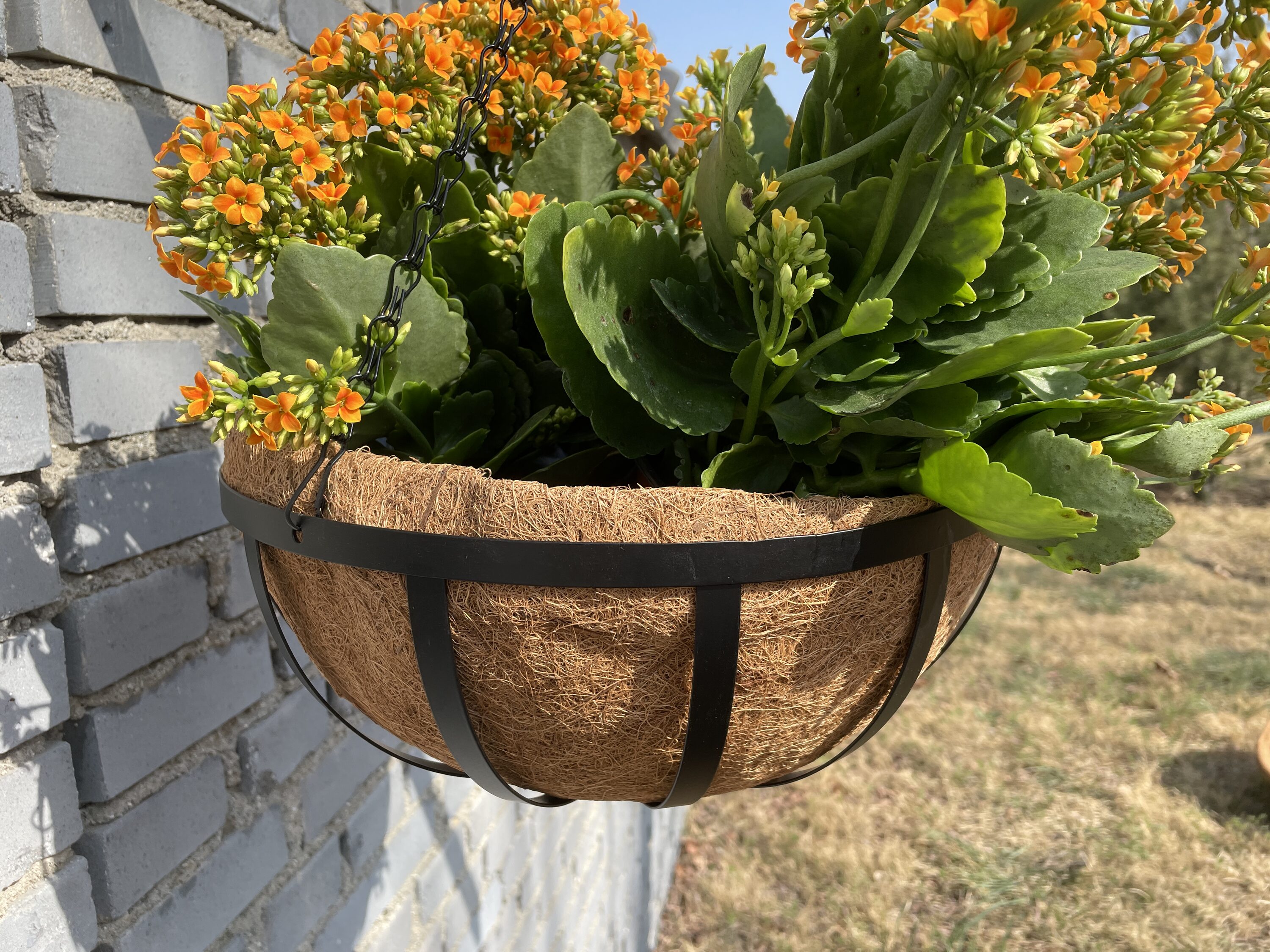 Style Selections LWP015 Planter-Window-Box - View #4