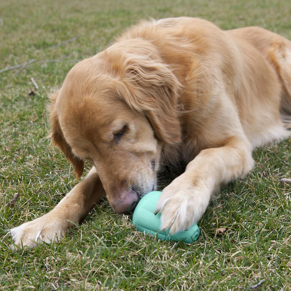 Chew King CM-0286-CS01 Dog-Toys - View #4