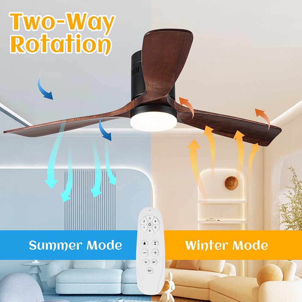 Sunrinx MG37-1-CF-7 Ceiling-Fans - View #6