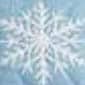 SNOWFLAKE