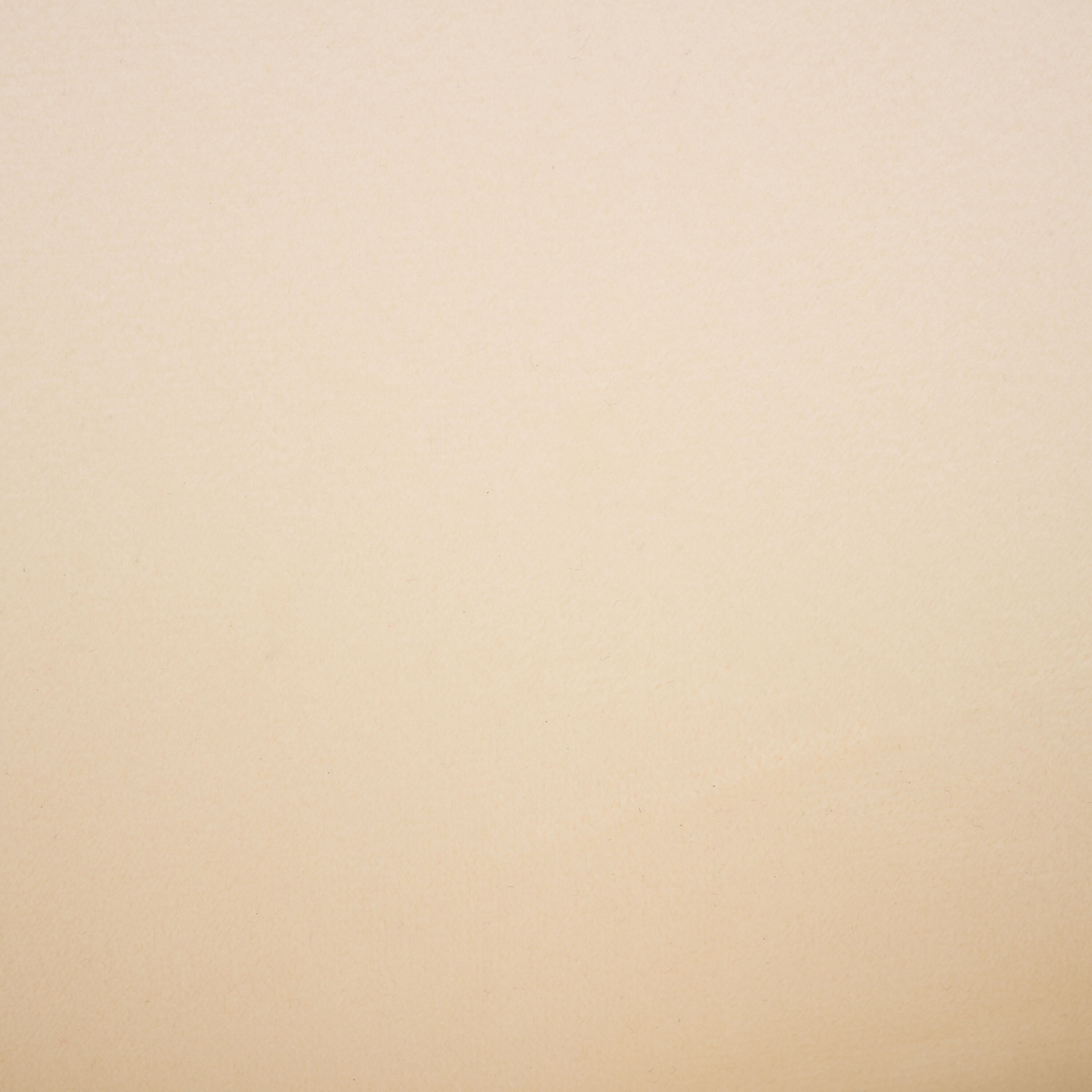 Safavieh DCH7501A Dining-Chairs - View #12