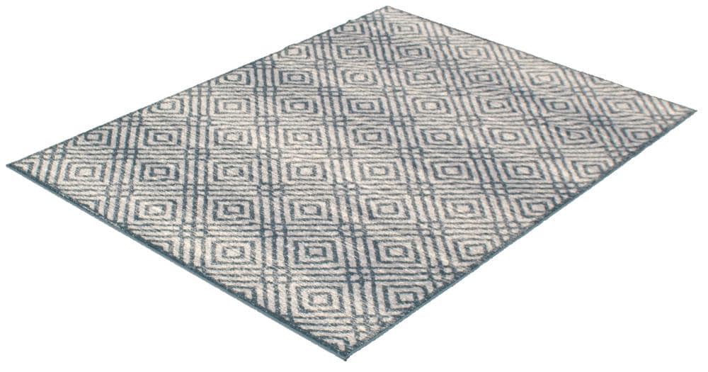 ECARPETGALLERY 315498 rugs - View #4
