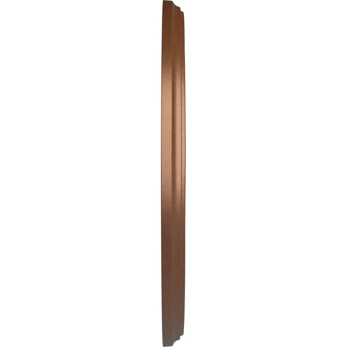 Ekena Millwork CM16WRPOS Ceiling-Medallions - View #3